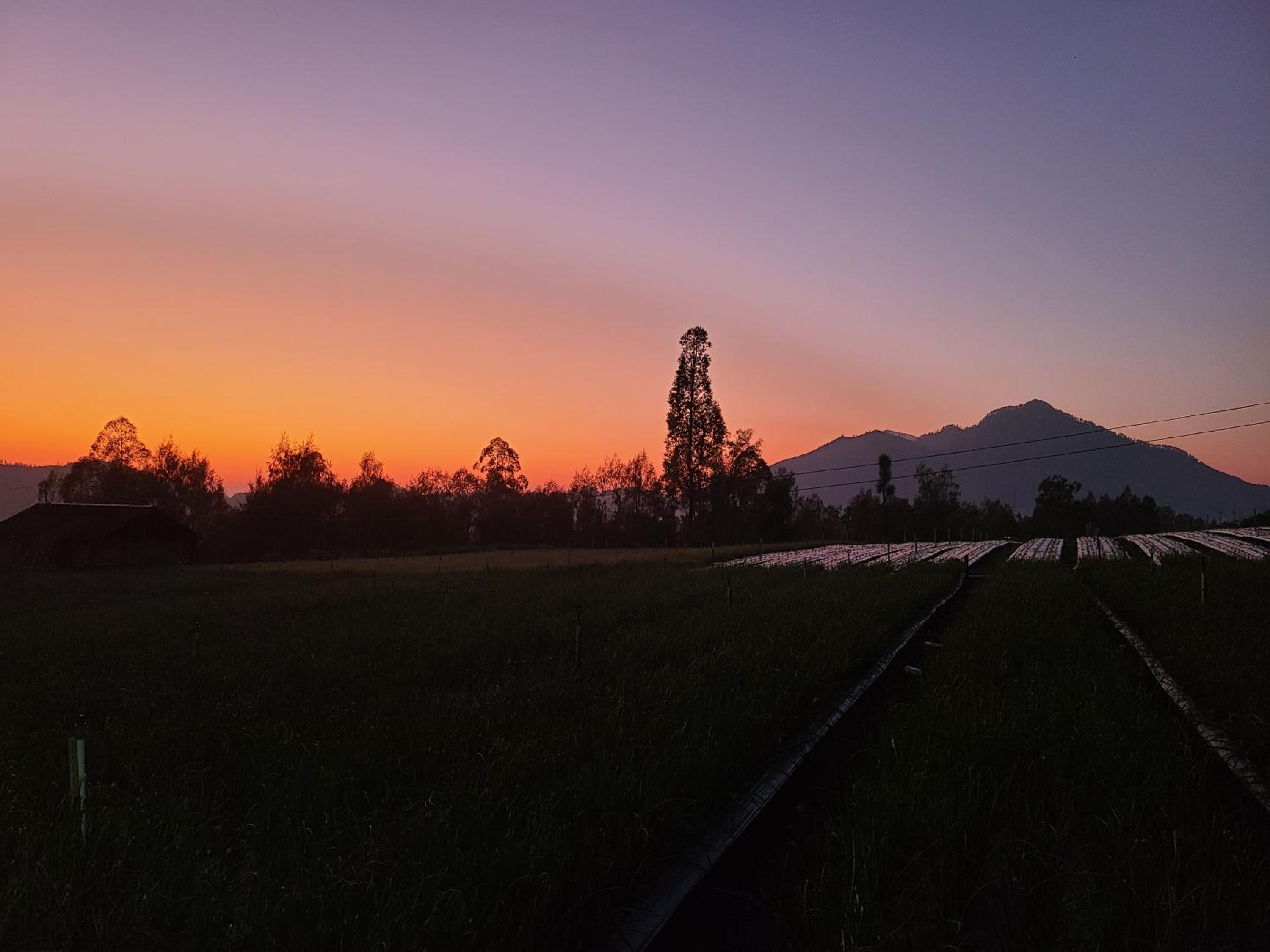 Batur Basecamp