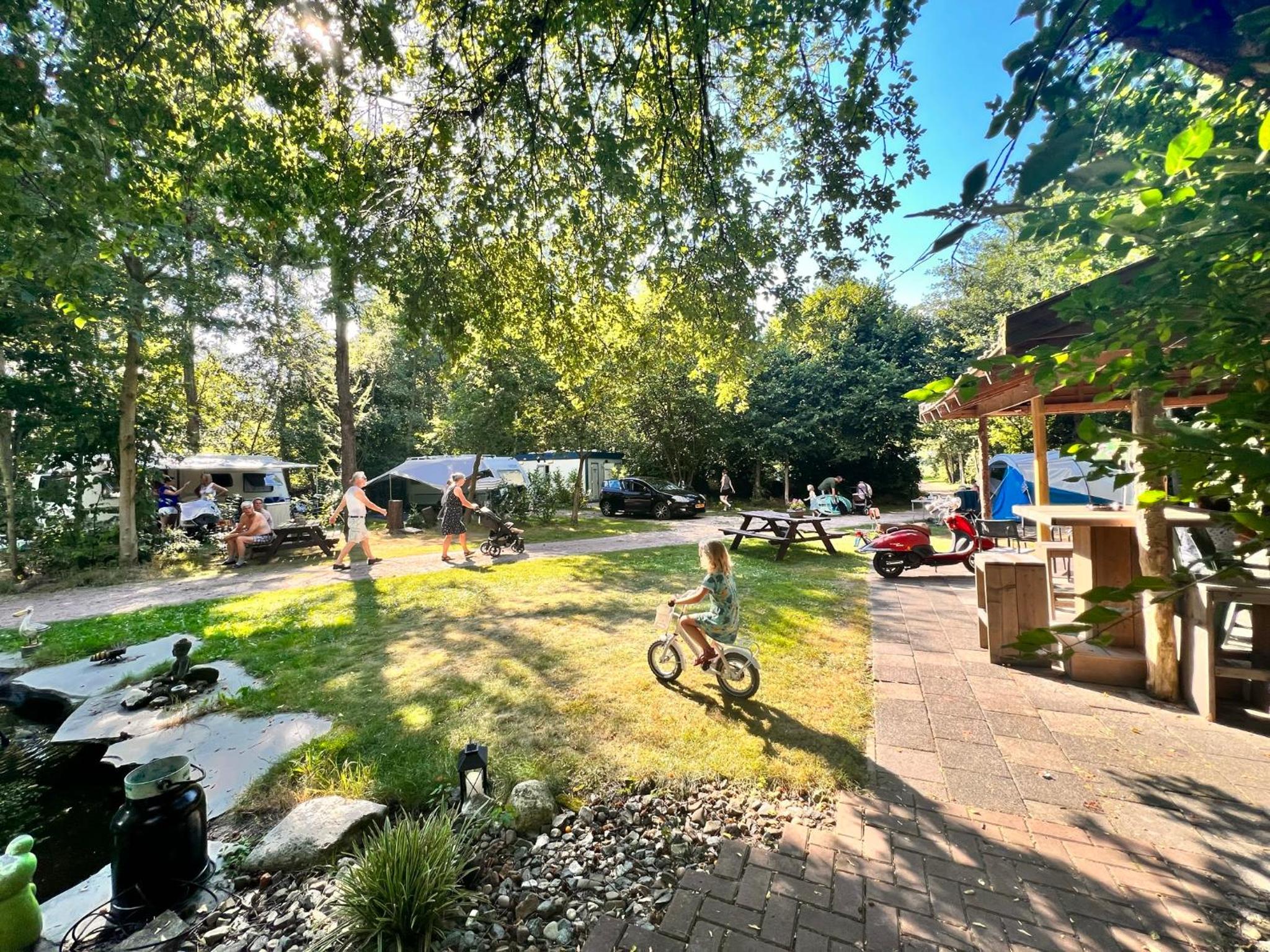Camping de Beerte view 3
