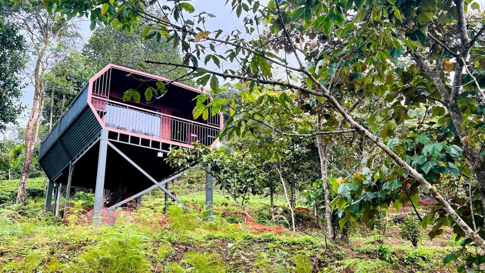 Woodshade Resort