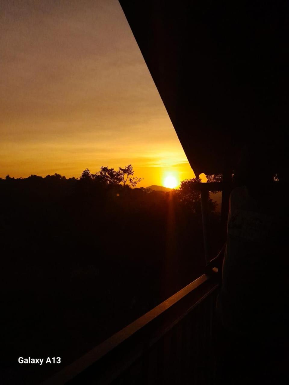 Woodshade Resort