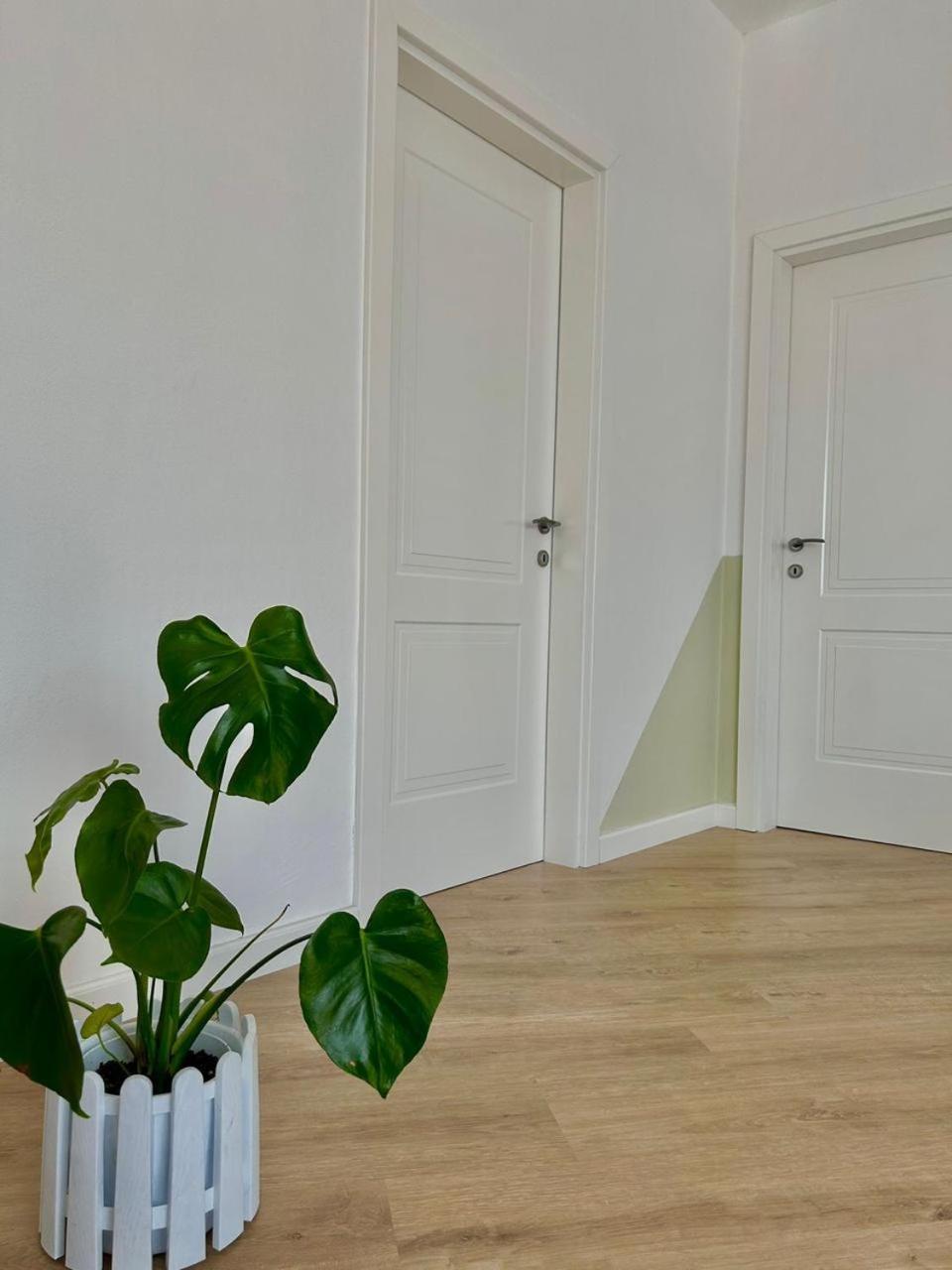 Gibel Apartments
