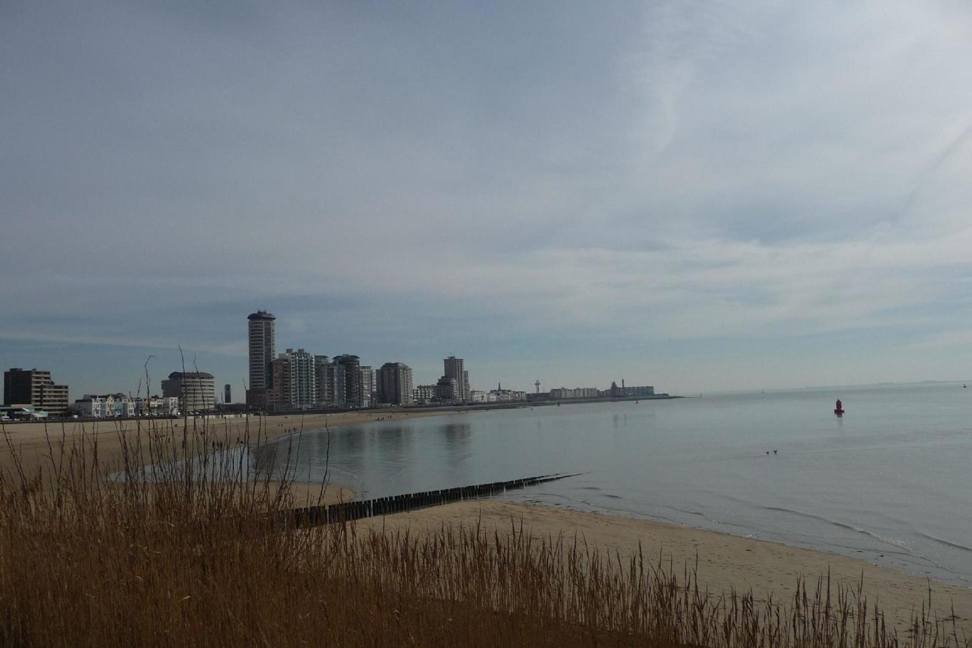 Photo 21