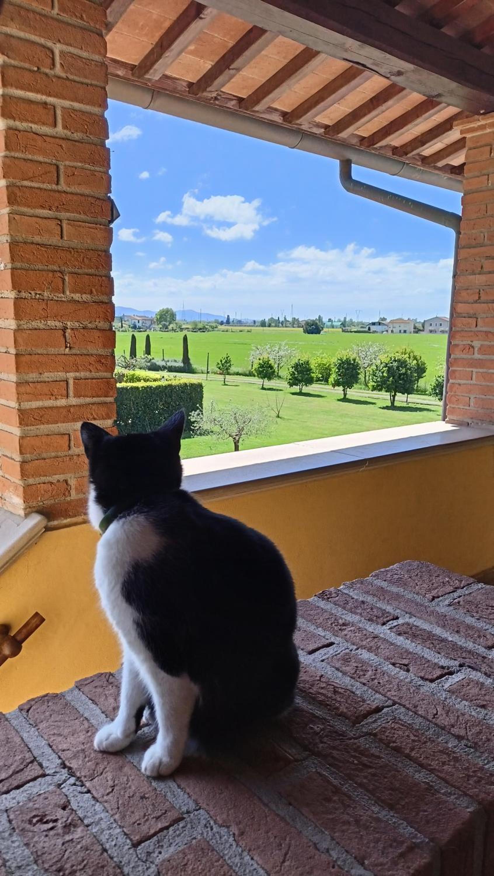 il Chiassetto Agriturismo No Kids view 2