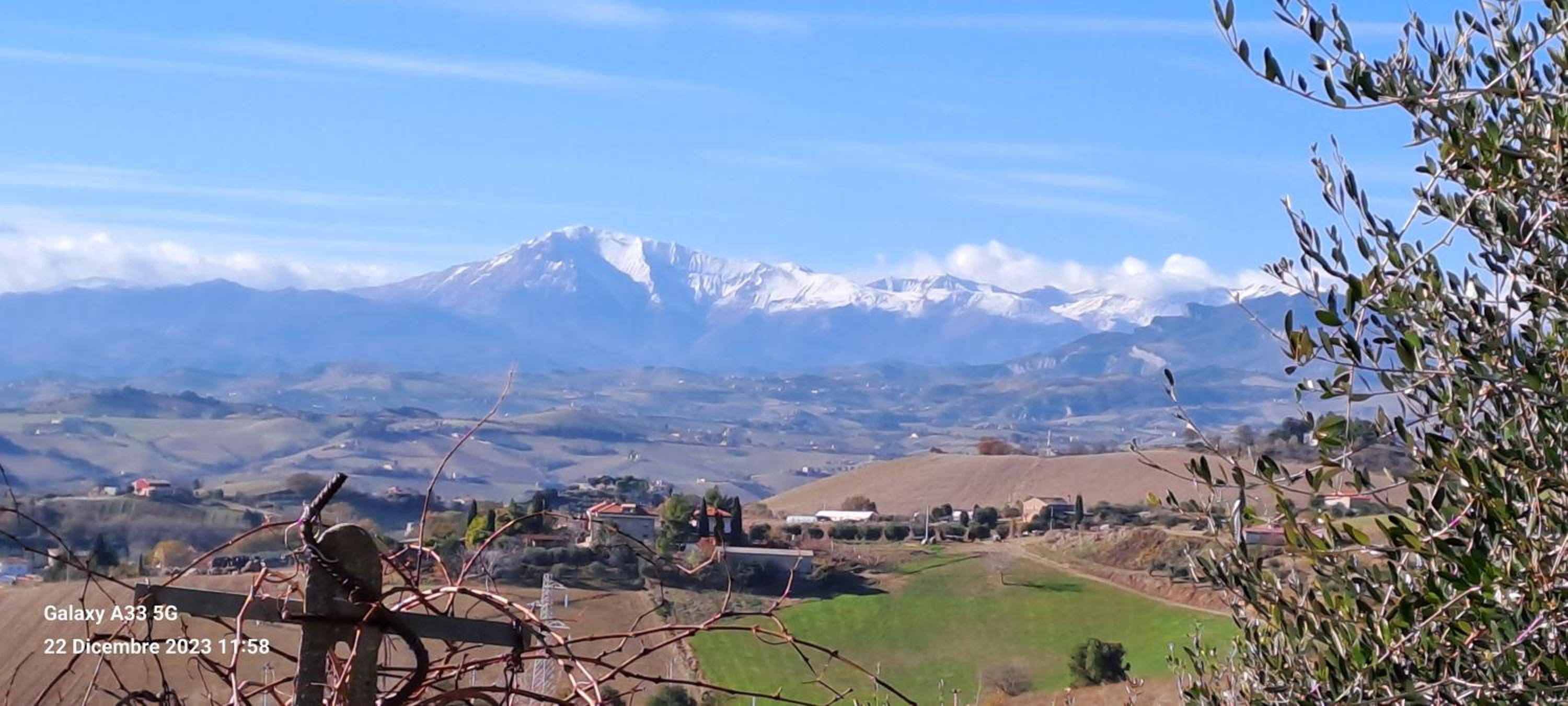 Sweet Home Offida view 5