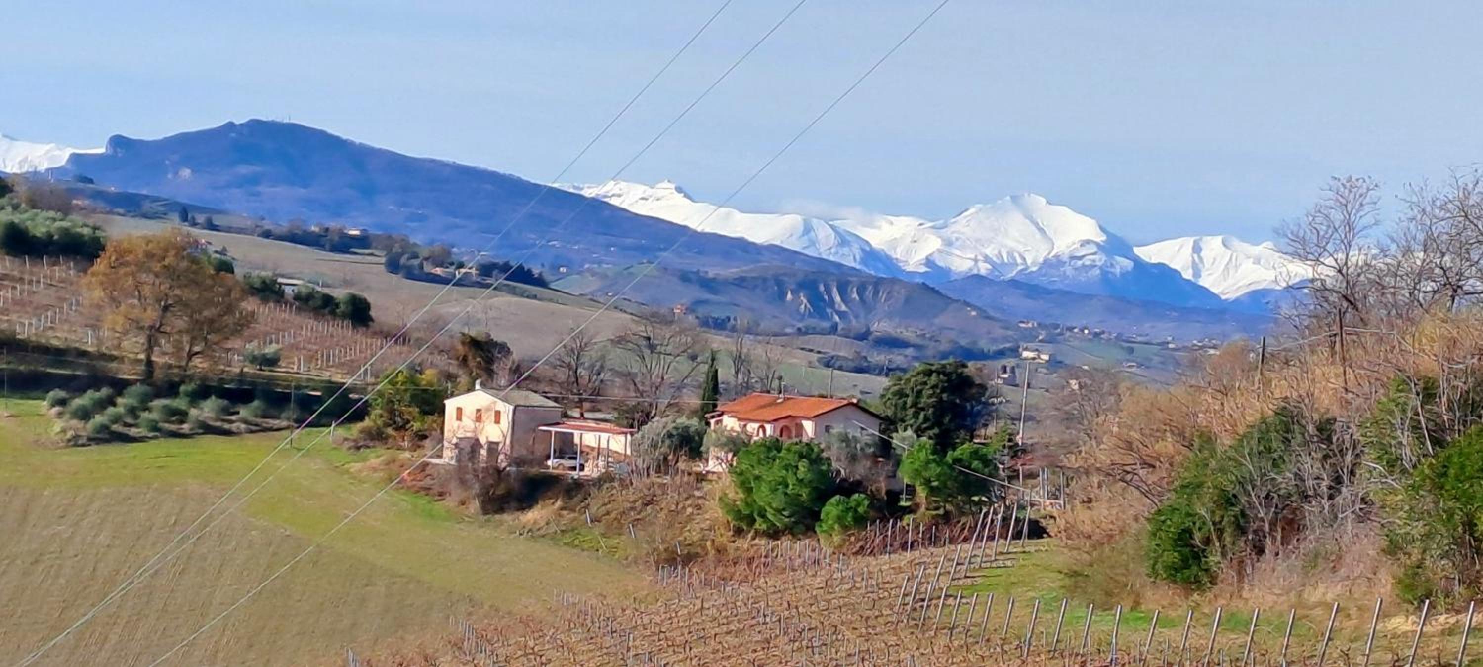 Sweet Home Offida view 4