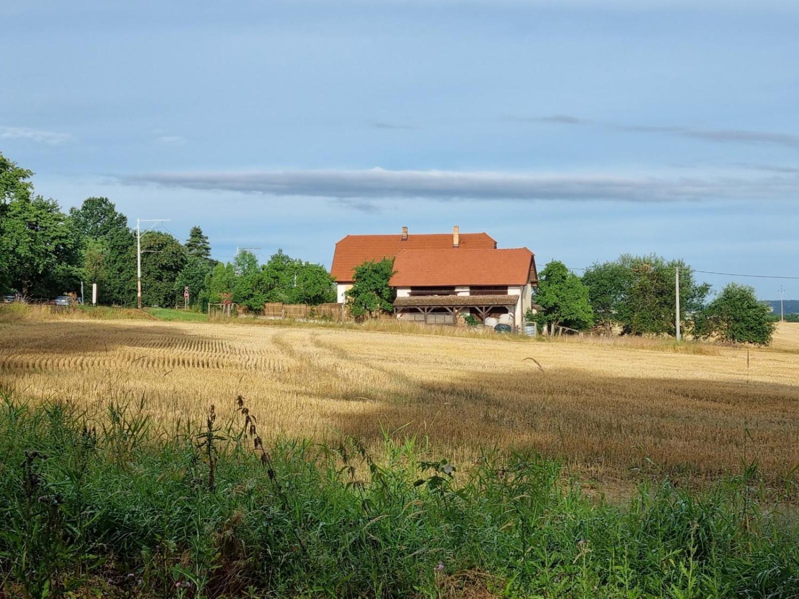 Glamping na samotě u lesa