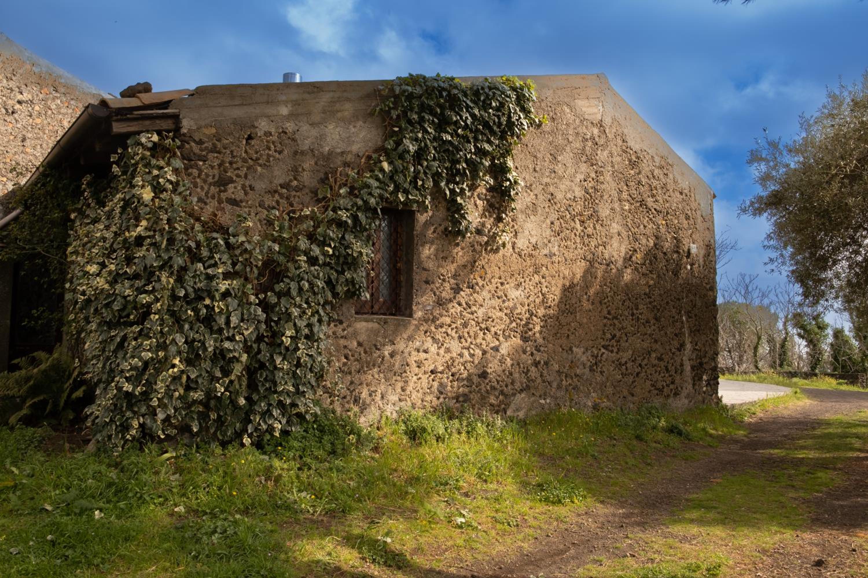 L'uva e il vento - Convivial Farmhouse photo 4