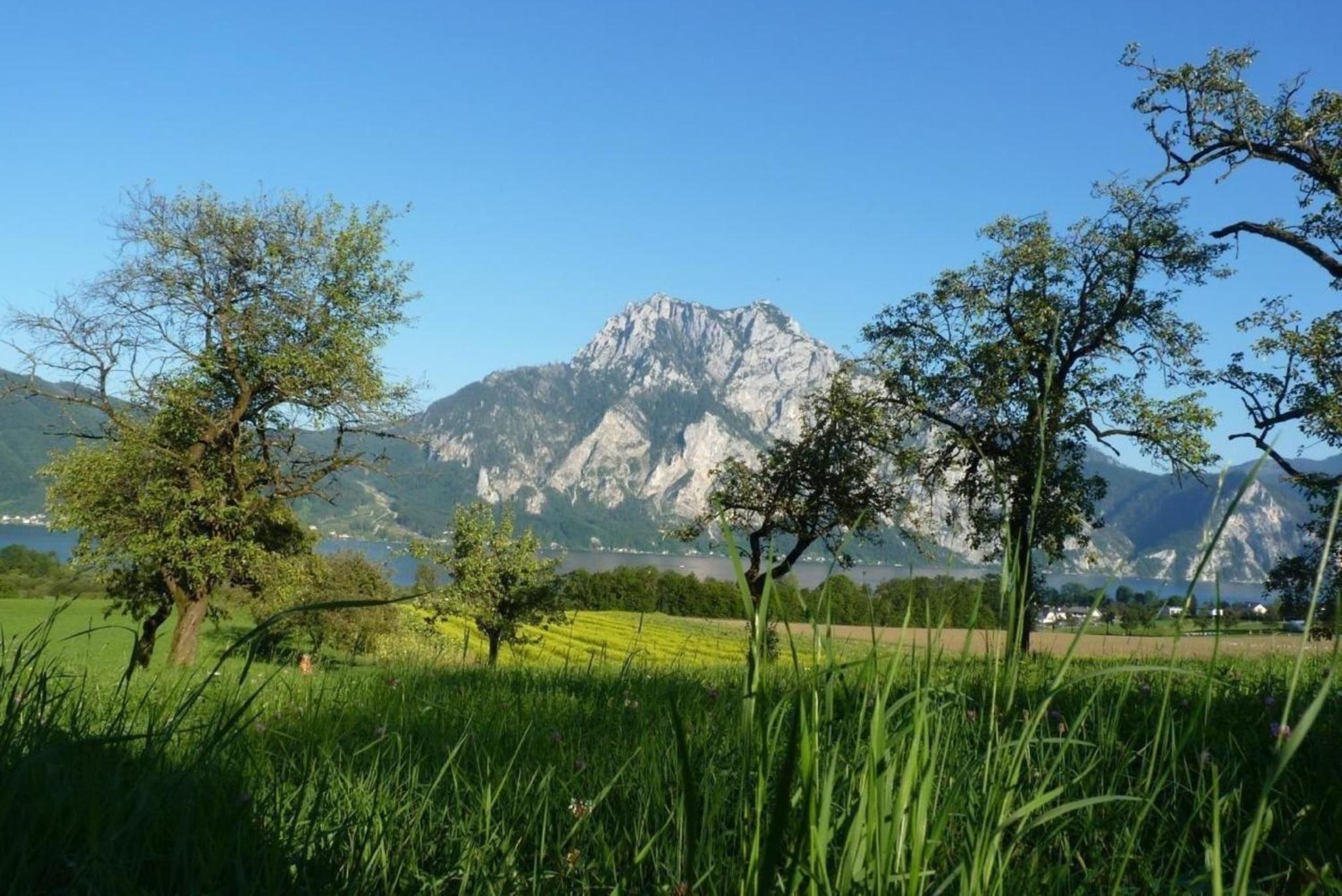 Traunstein
