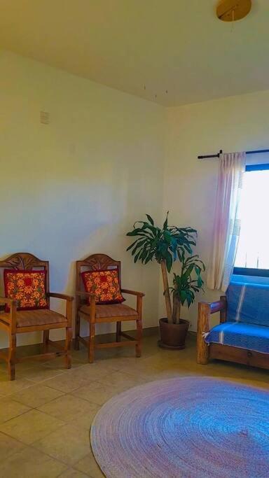 Casa Ocelote Homme Office view 5