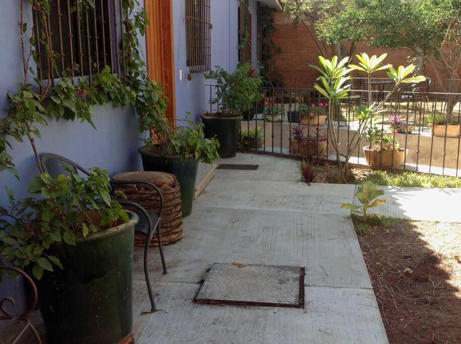 Casa Ocelote Homme Office view 2