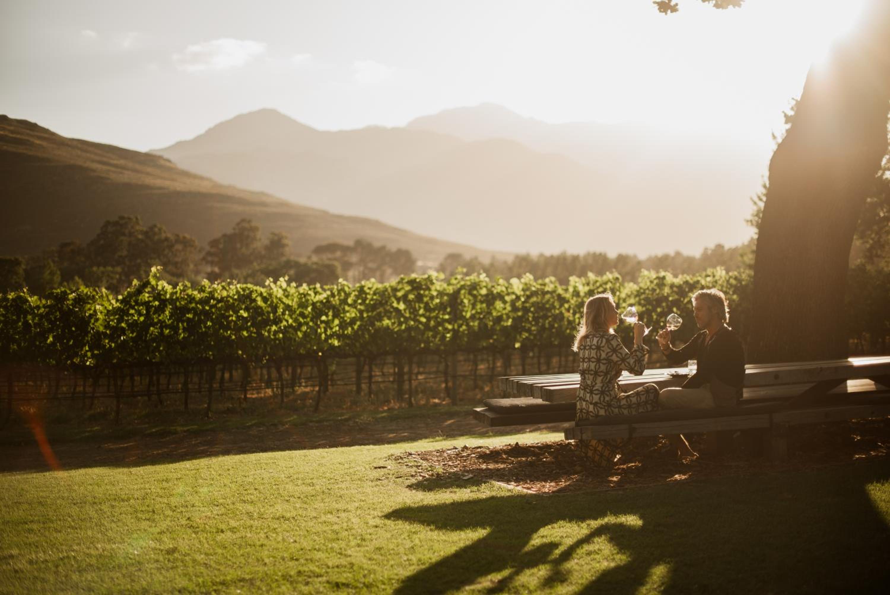 MAISON FRANSCHHOEK