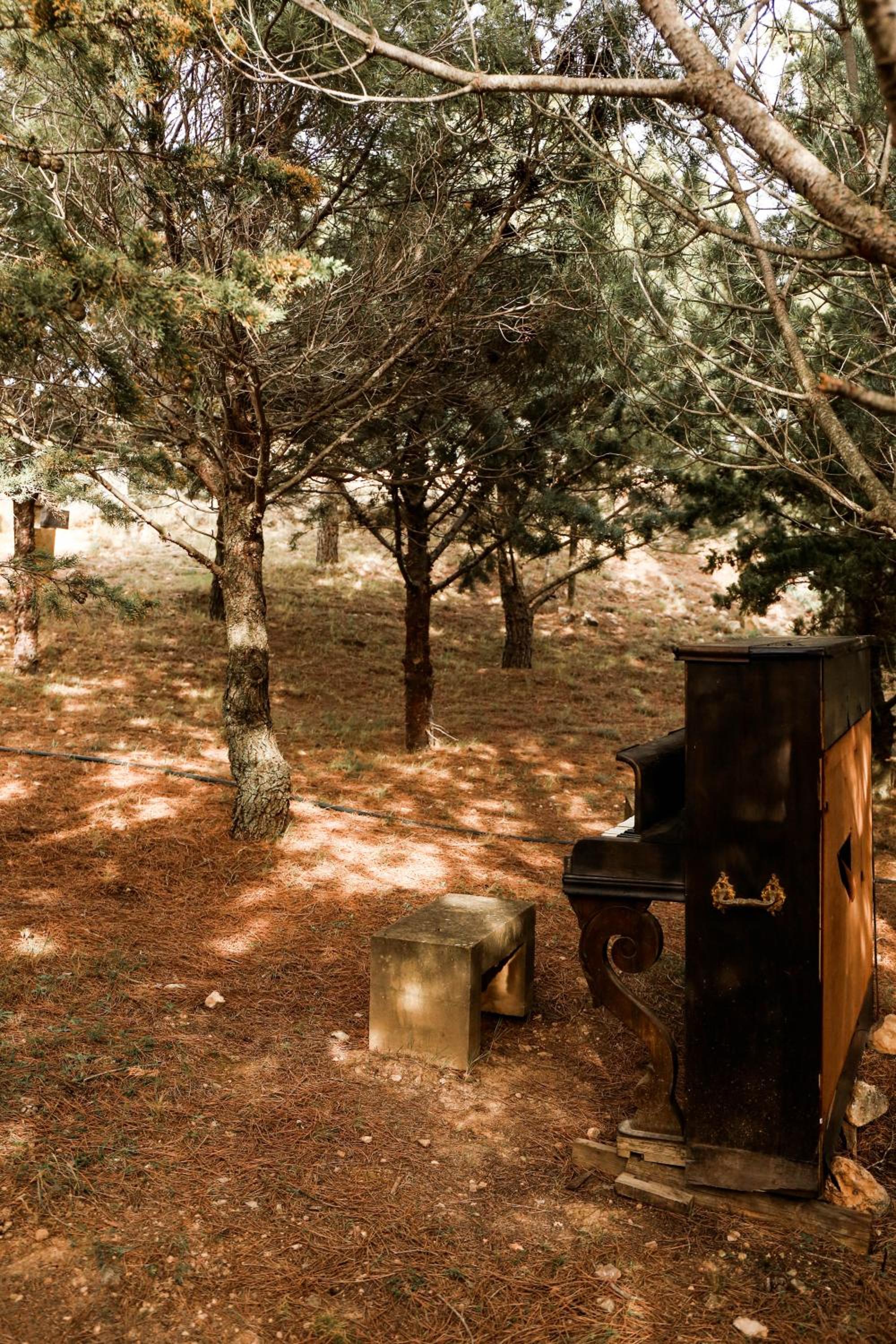 Camping Castillo de Loarre