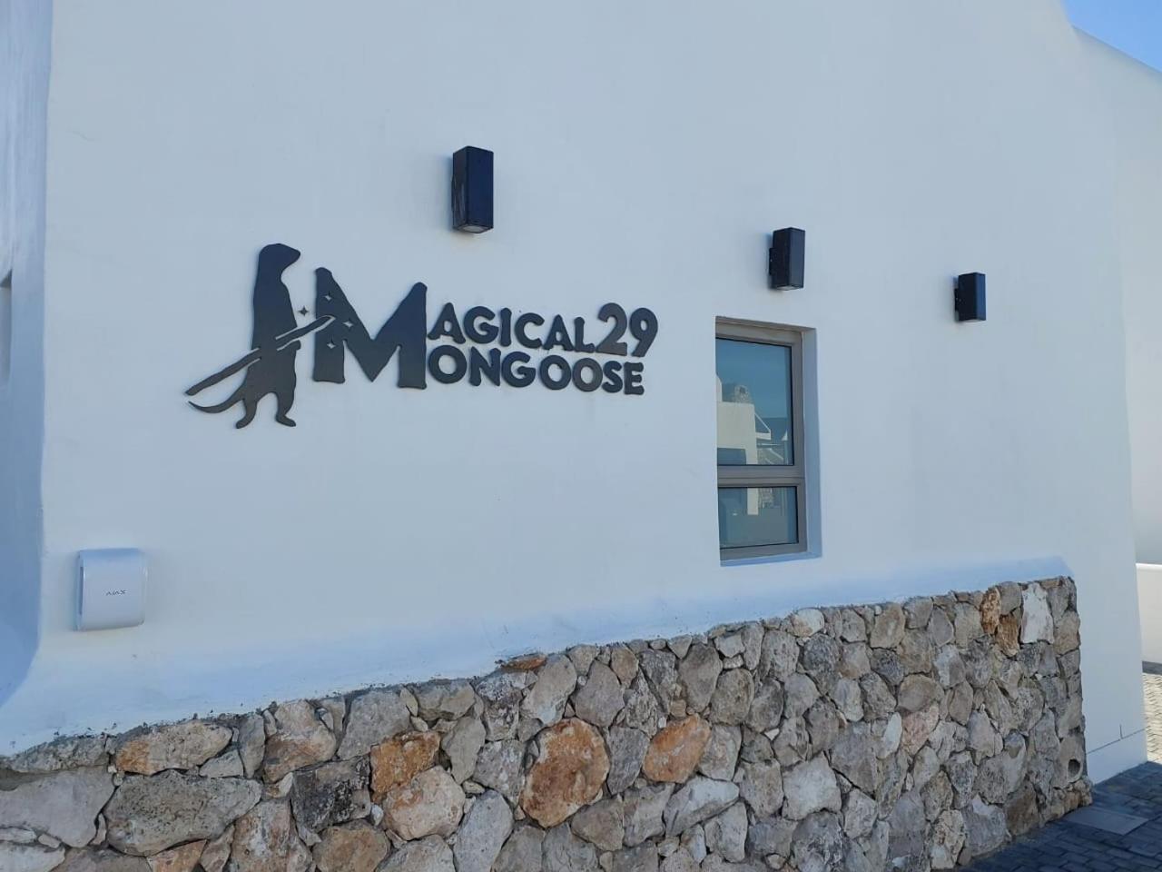 Magical Mongoose