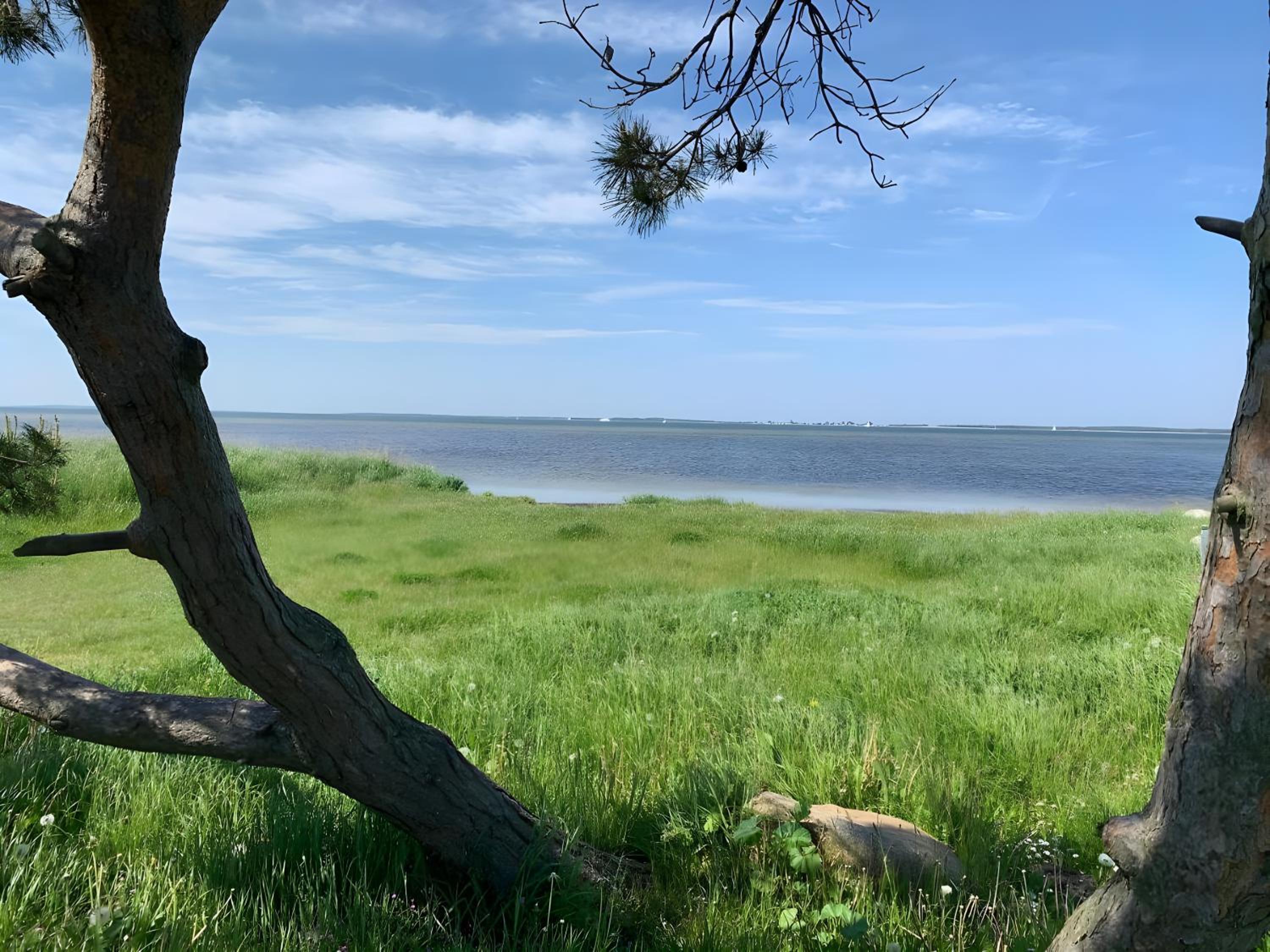 Reetdachhäuser gegenüber Hiddensee