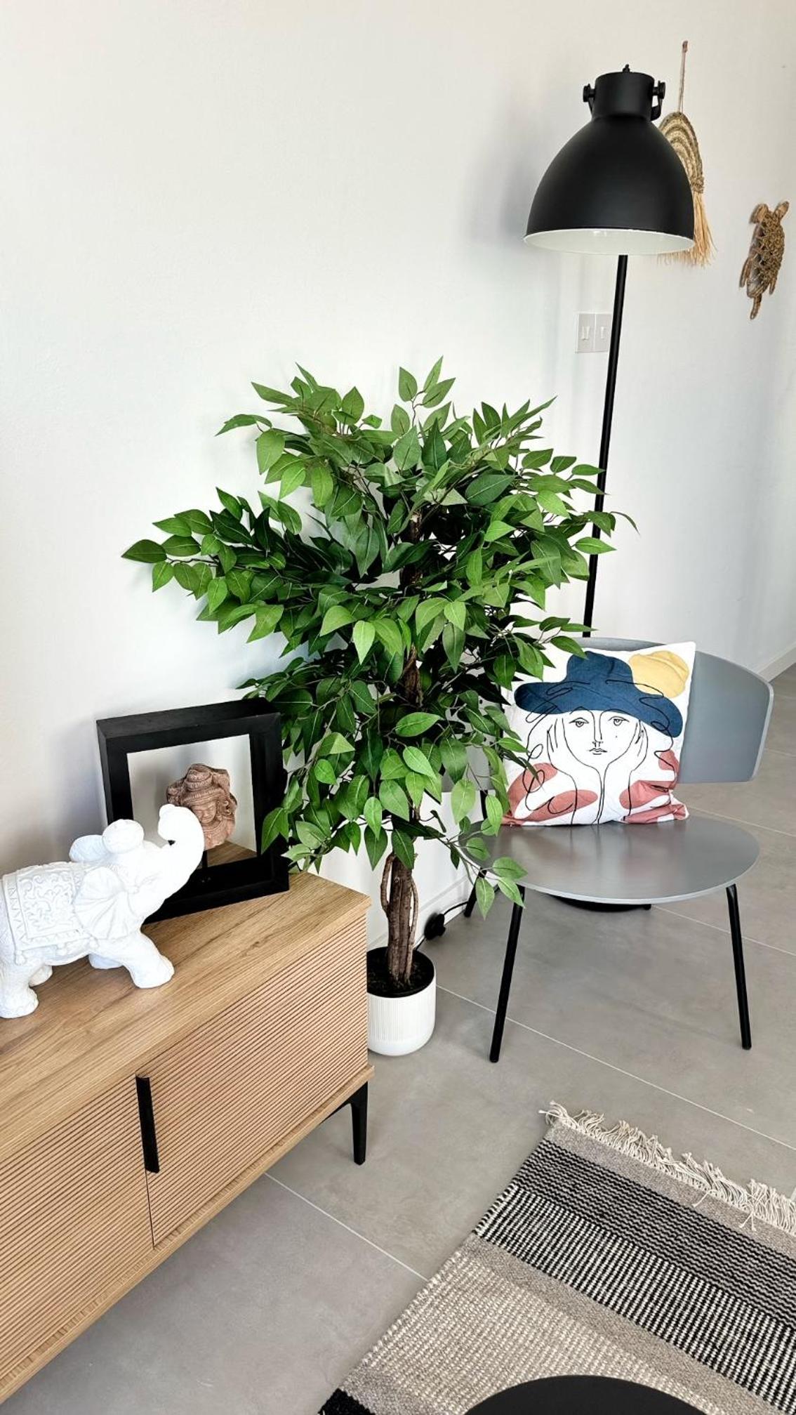 Peyia Paradise Apt