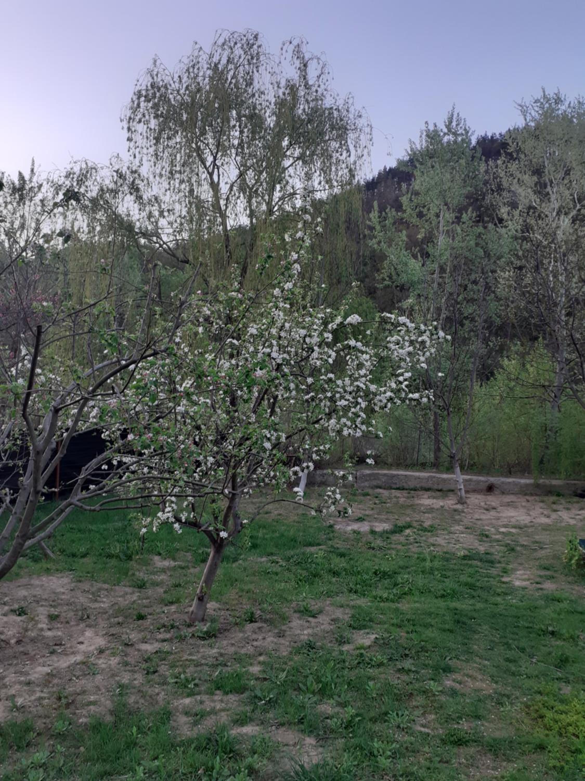 Photo 27