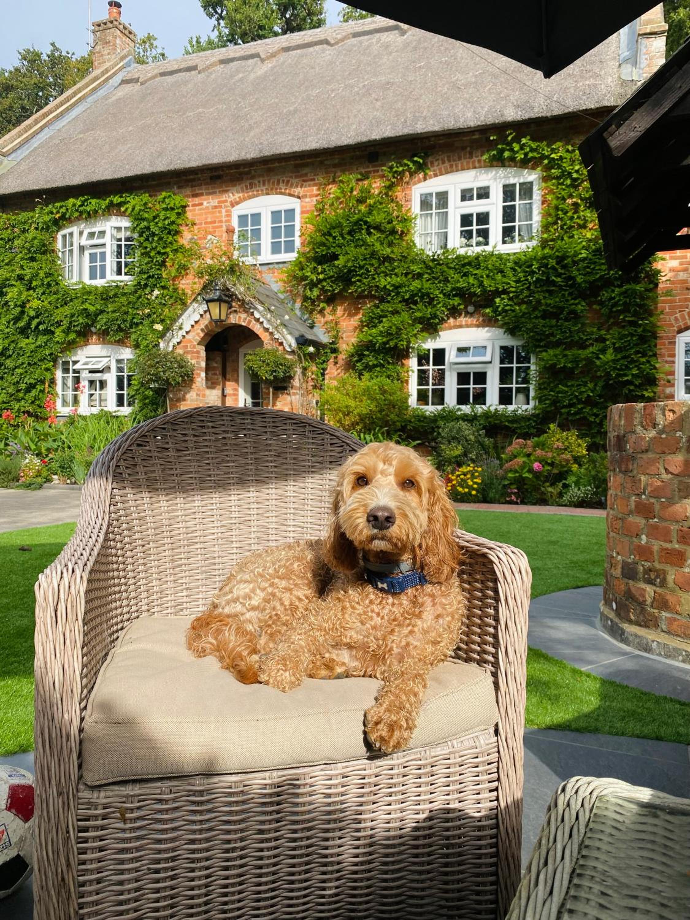 Little Woodside a beautiful New Forest self contained private luxury annexe view 3
