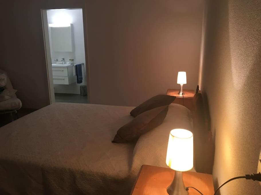 Modern apartment easy commute, Geneva & Nyon 75m2