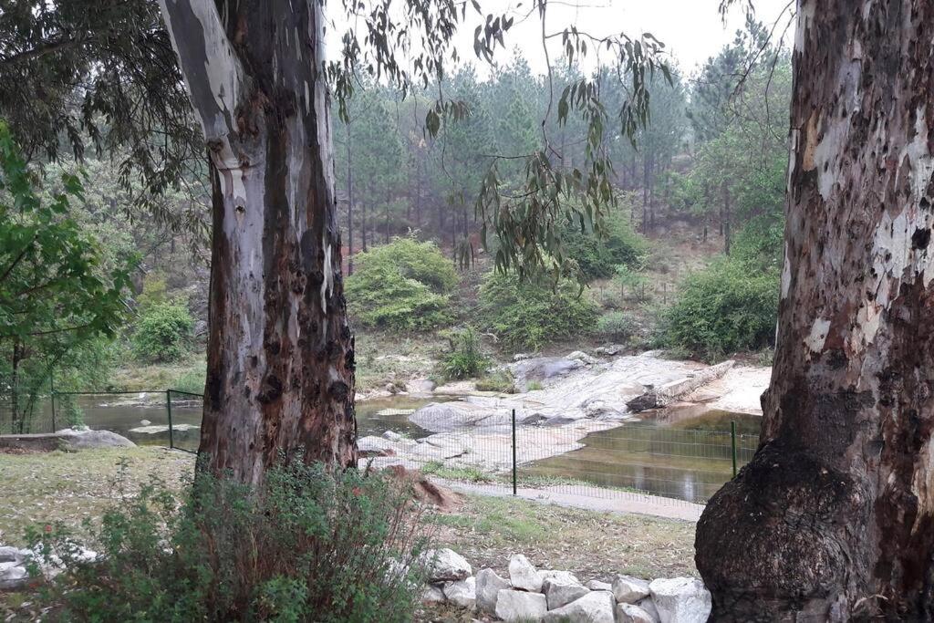 HOSTERÍA ARROYO CRISTAL