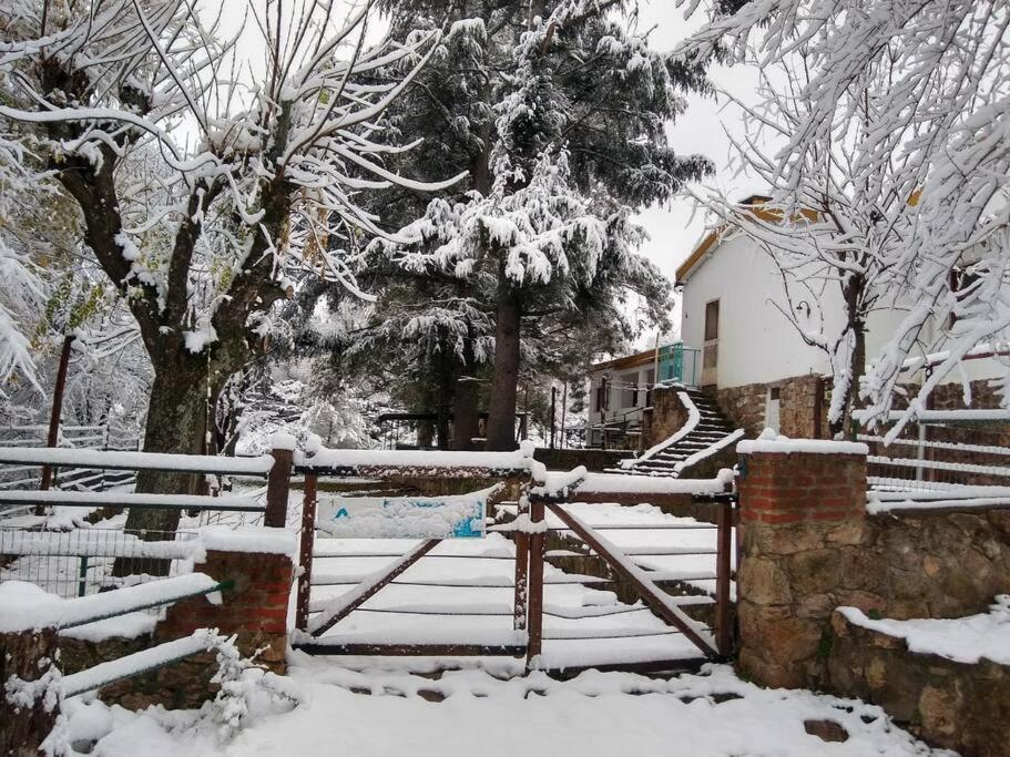 HOSTERÍA ARROYO CRISTAL