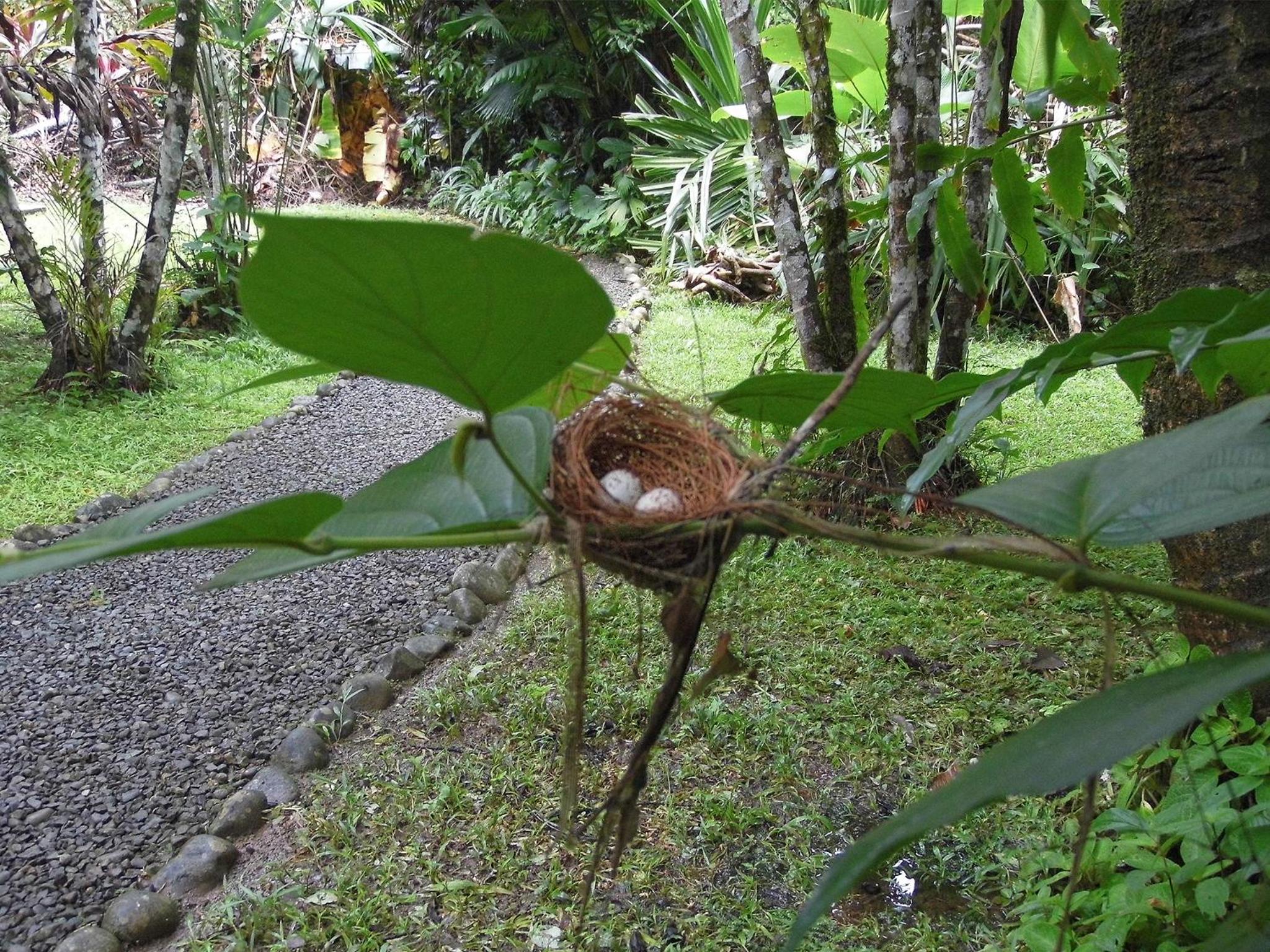 El Colibri Lodge