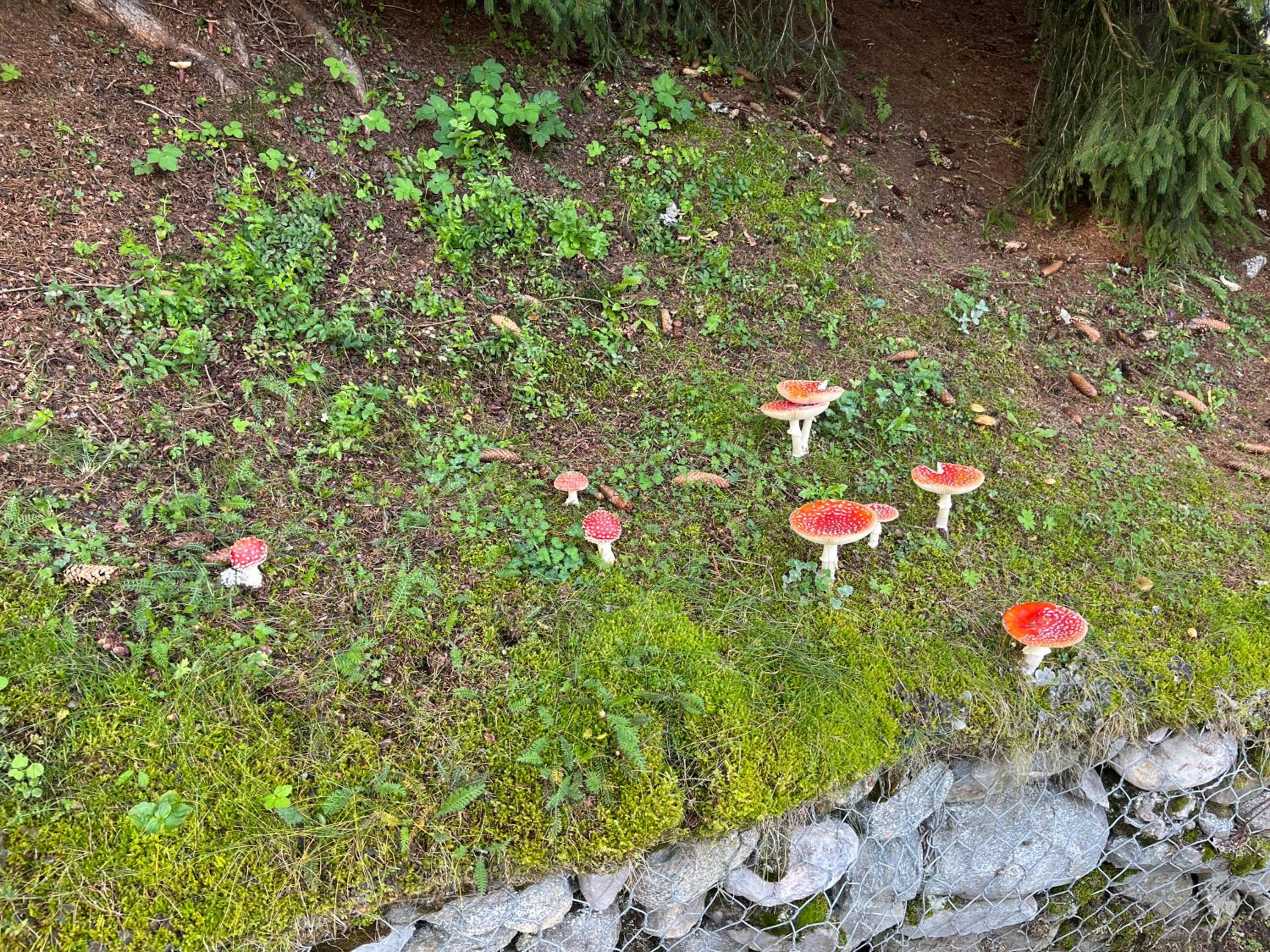 Photo 34