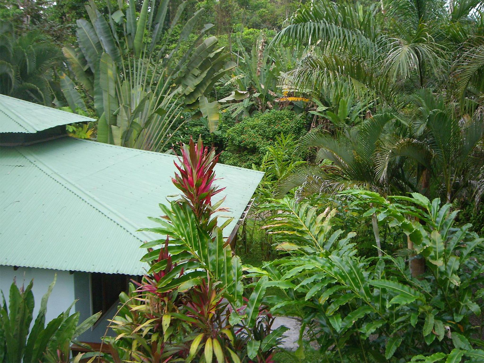 El Colibri Lodge