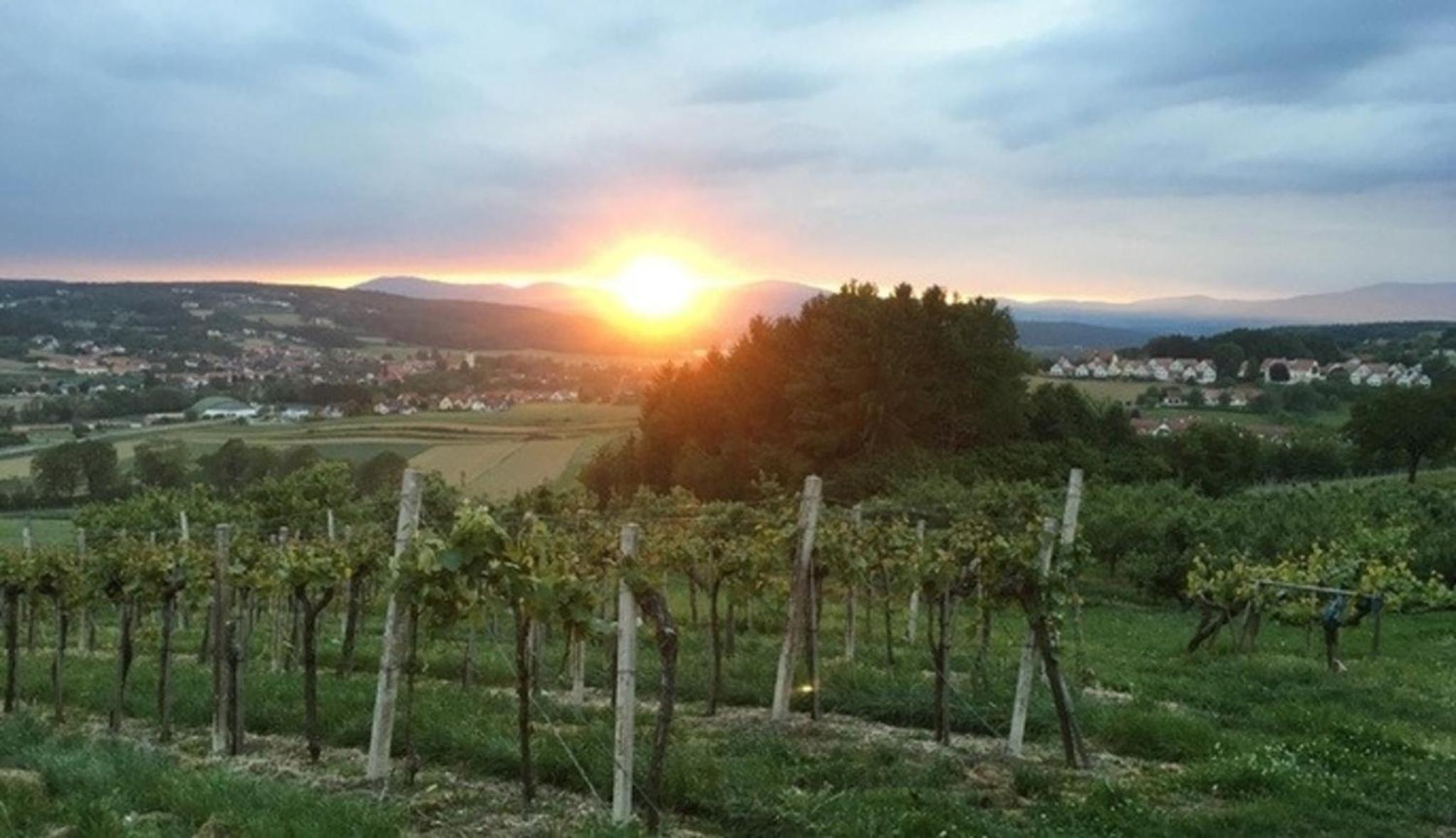 Urlaub im Grünen - Charmantes Bauernhaus