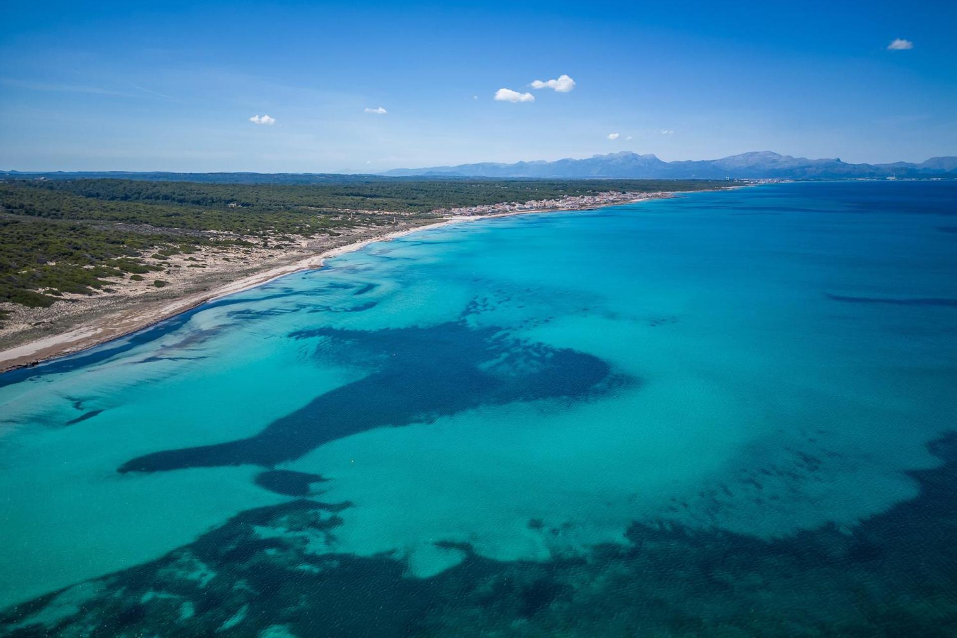 Ideal Property Mallorca - Casa Bel view 5