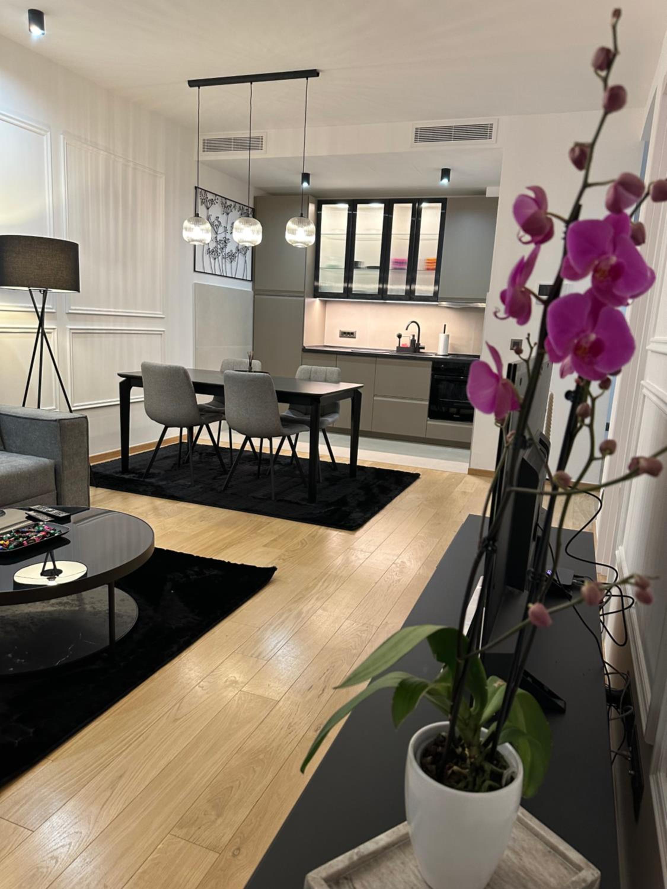 LL65 Apartments Novi Dorcol view 2