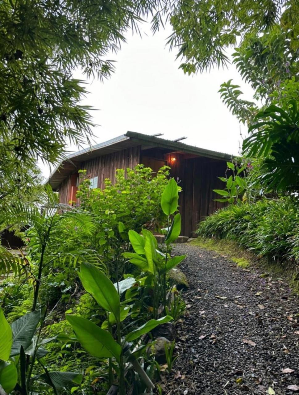 El Toucanet Lodge & Restaurante