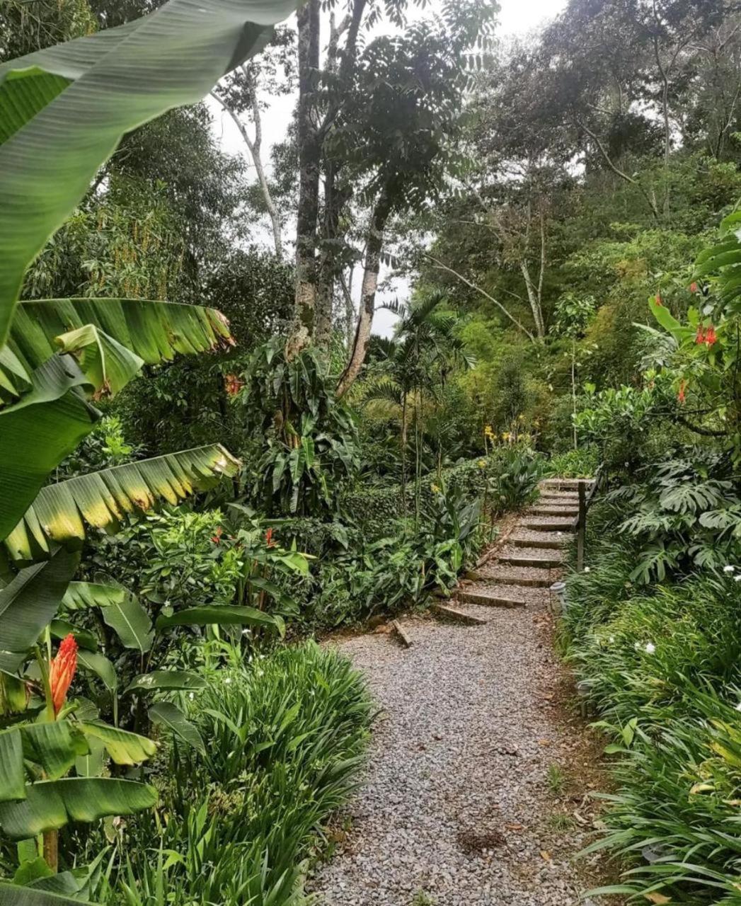 El Toucanet Lodge & Restaurante