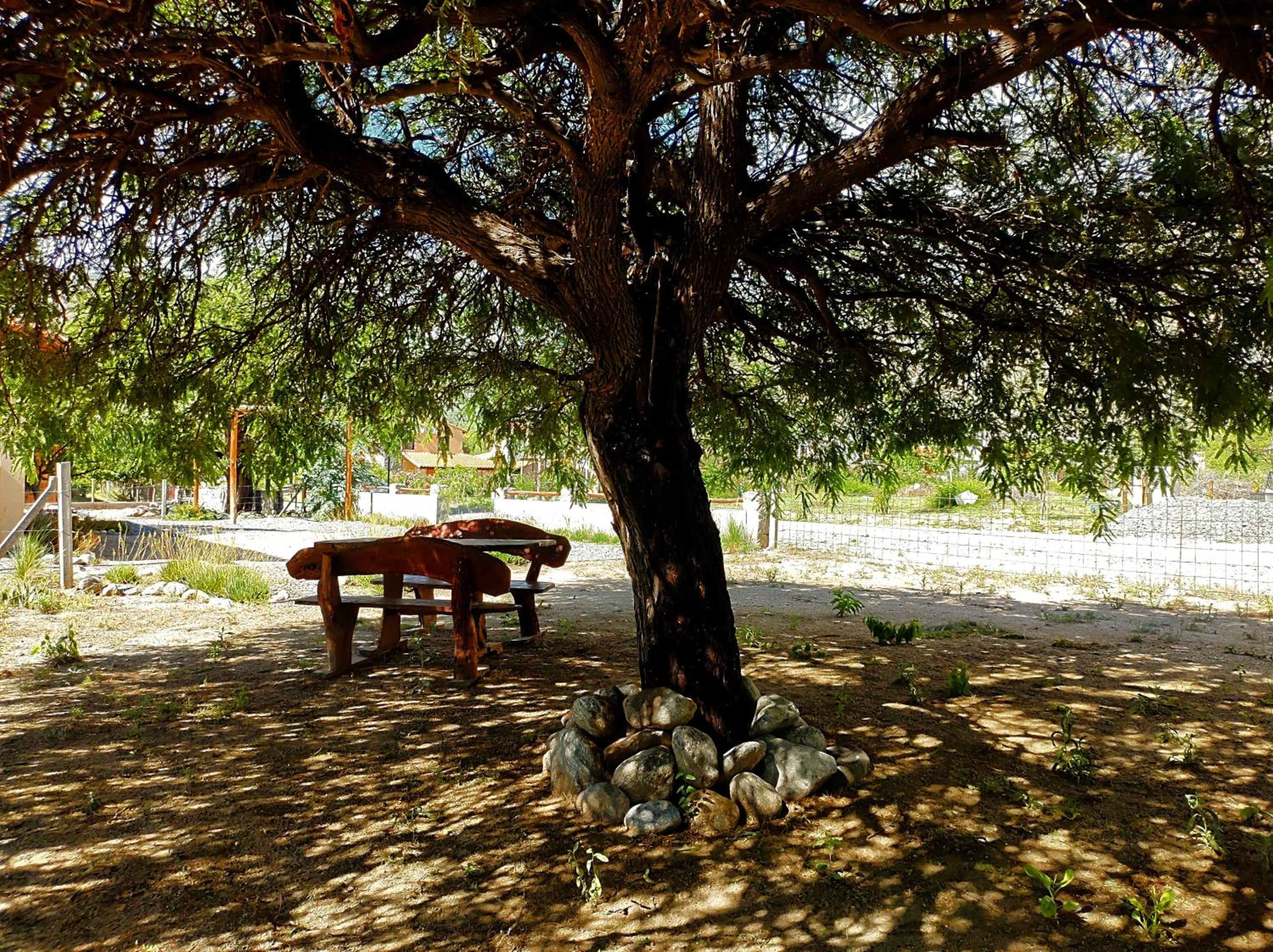 Los Aromos
