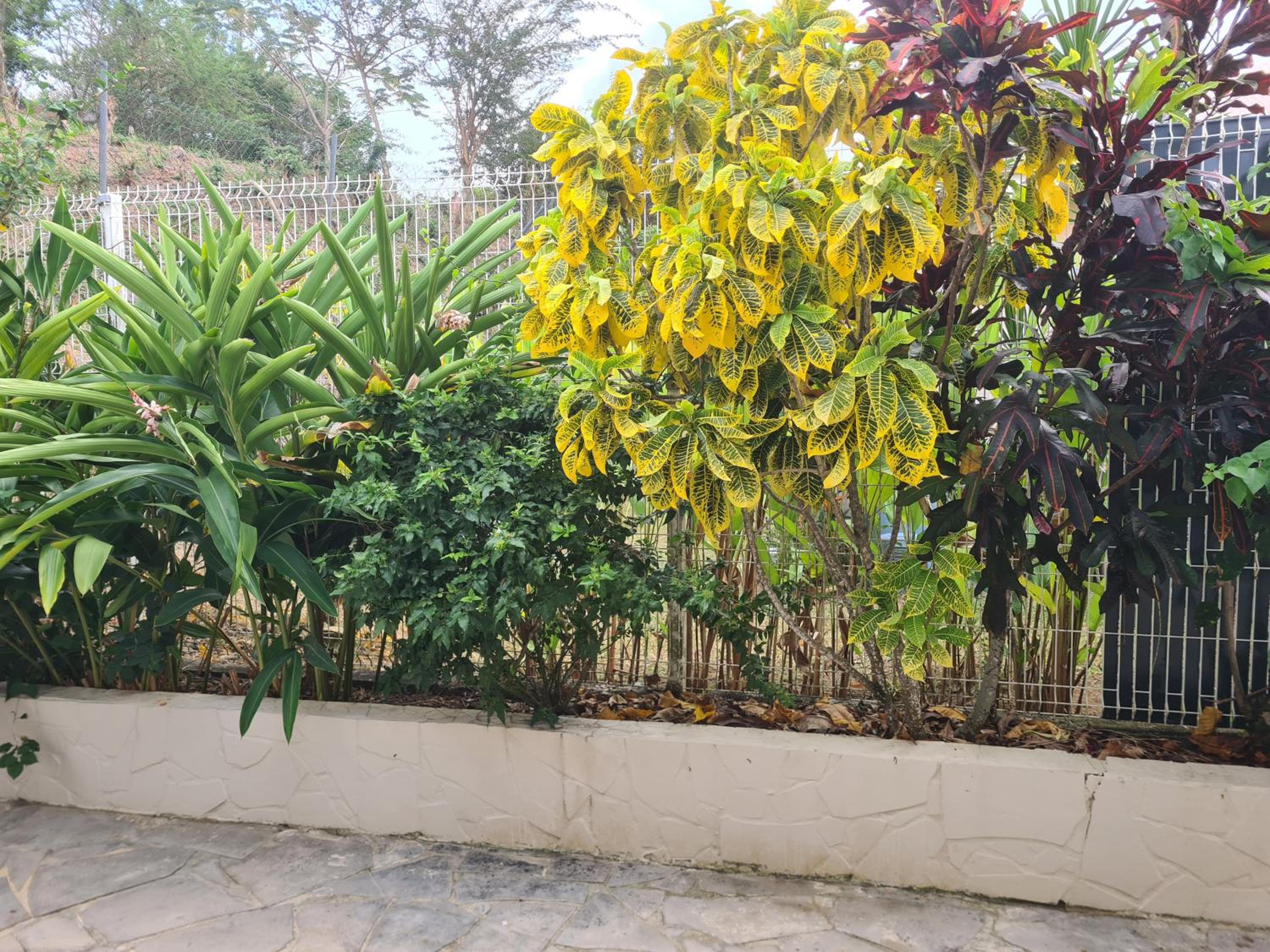 Photo 22