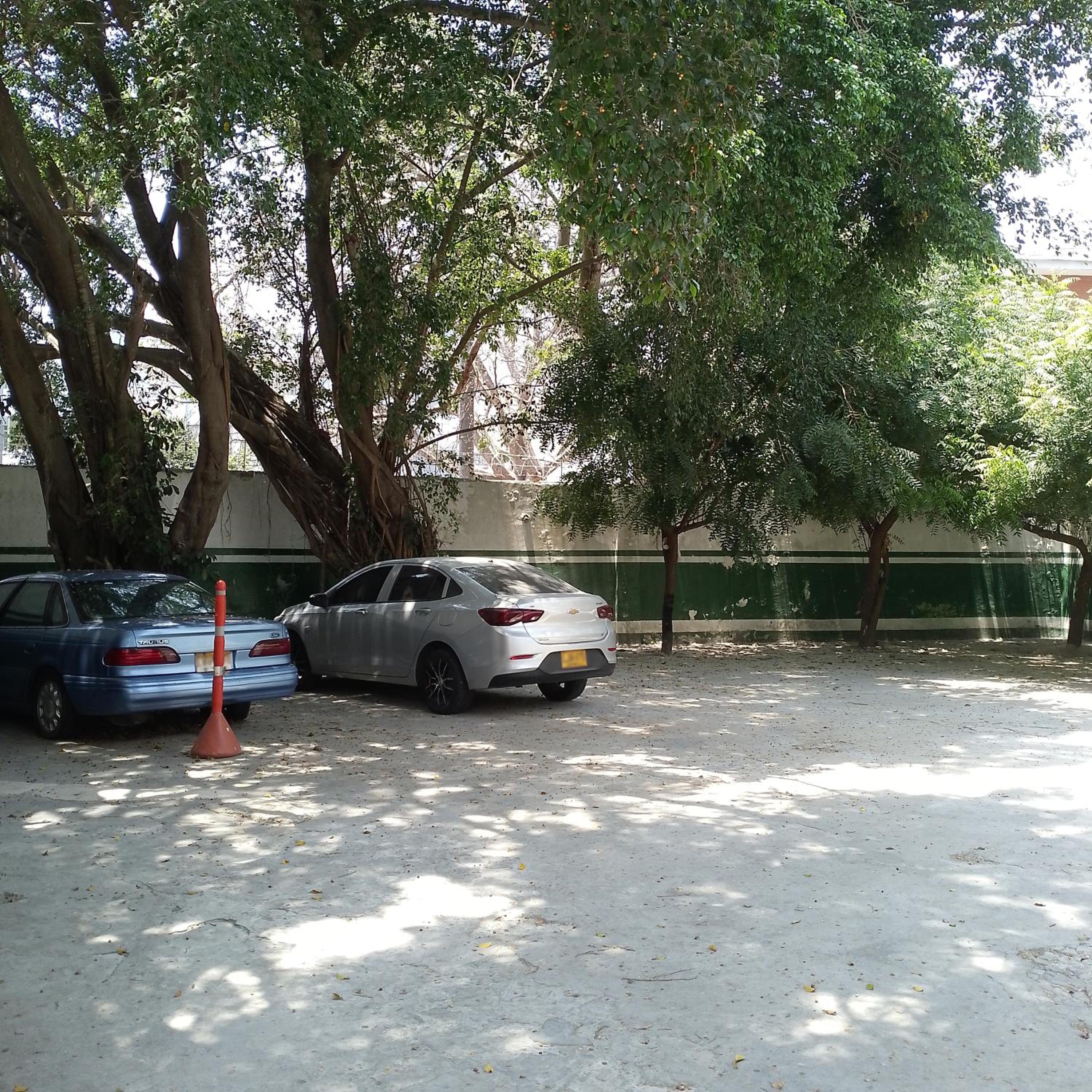 Photo 39