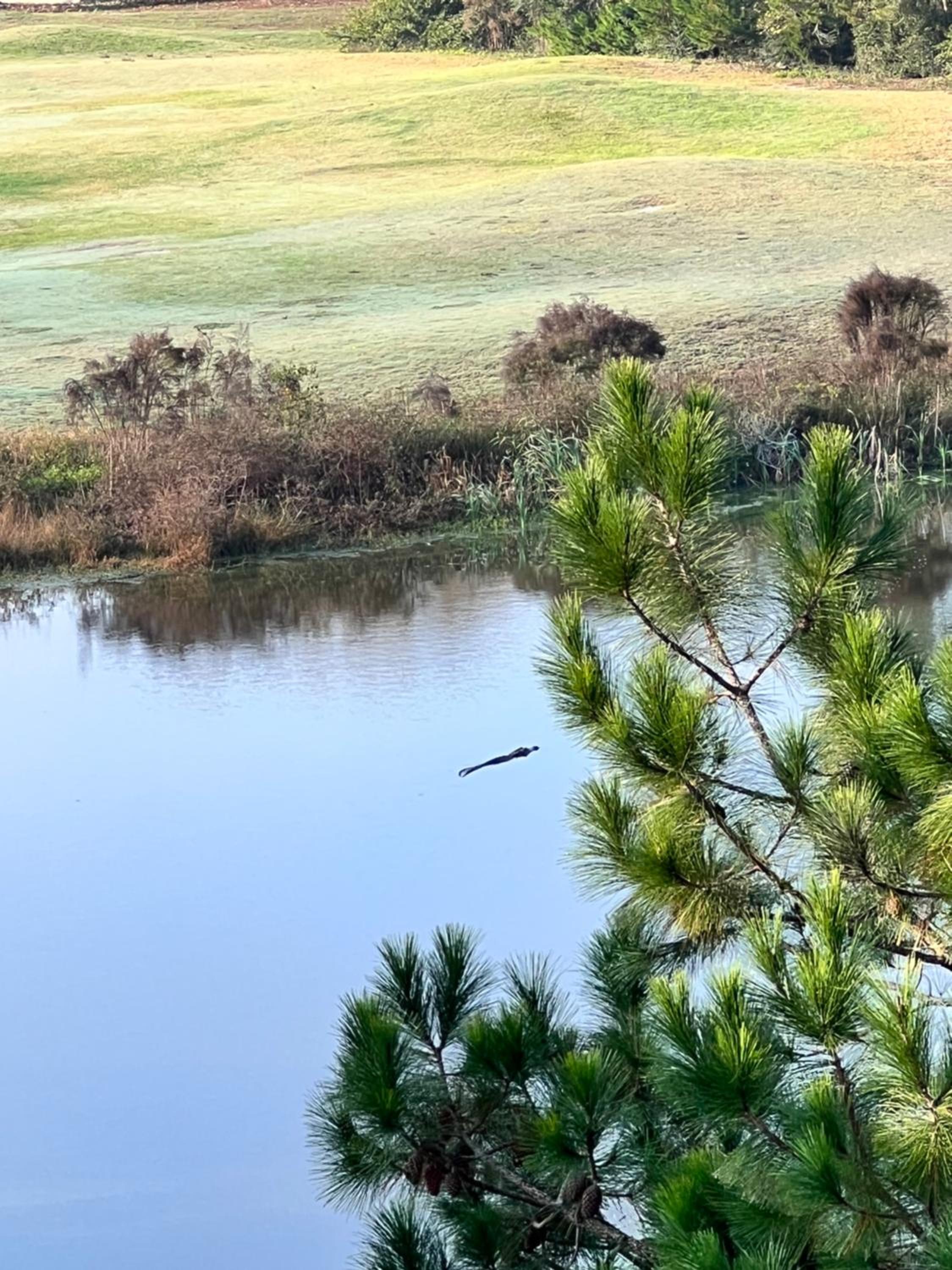 Caddyshack Condo
