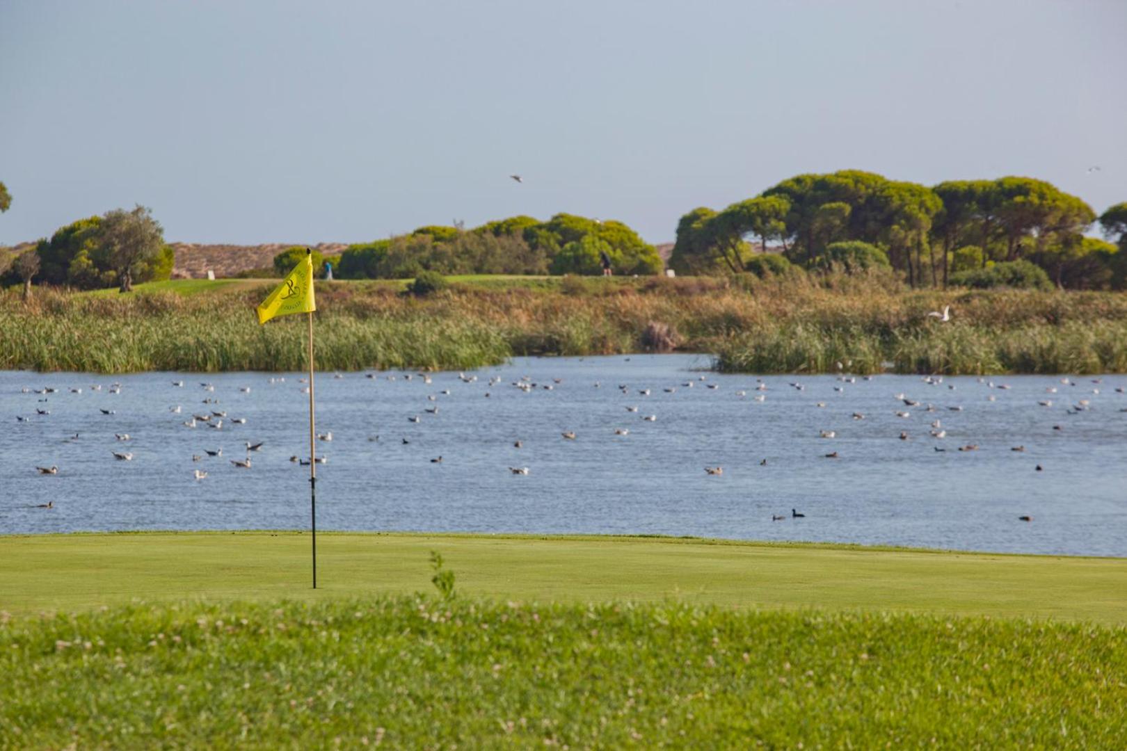 Sunny Haven Apartment Vilamoura