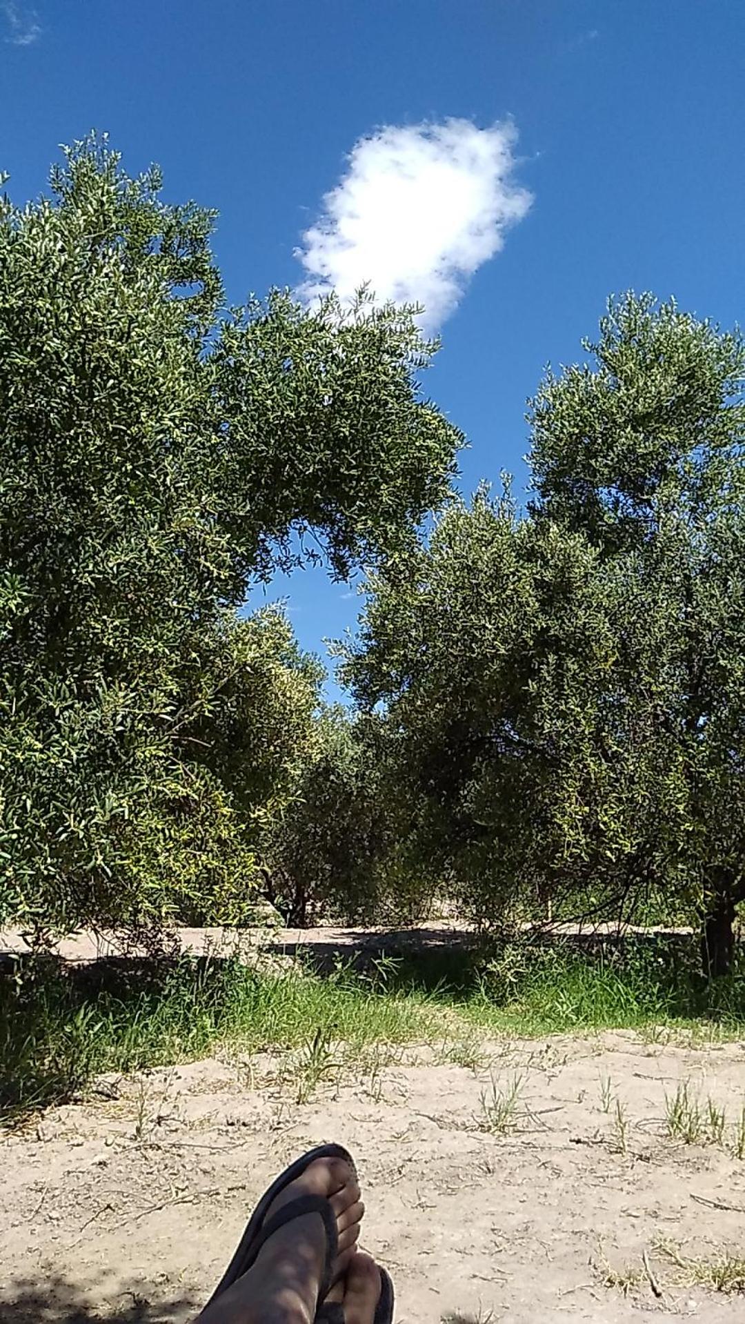 Cabañas Rincón del Pozo