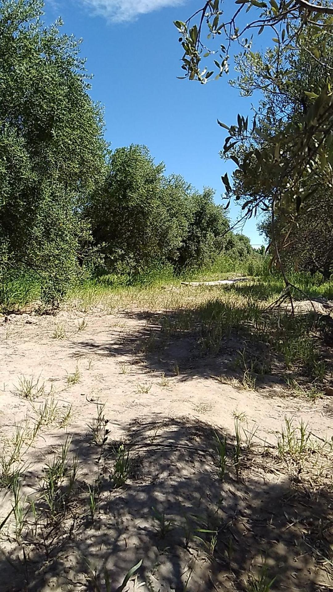 Cabañas Rincón del Pozo