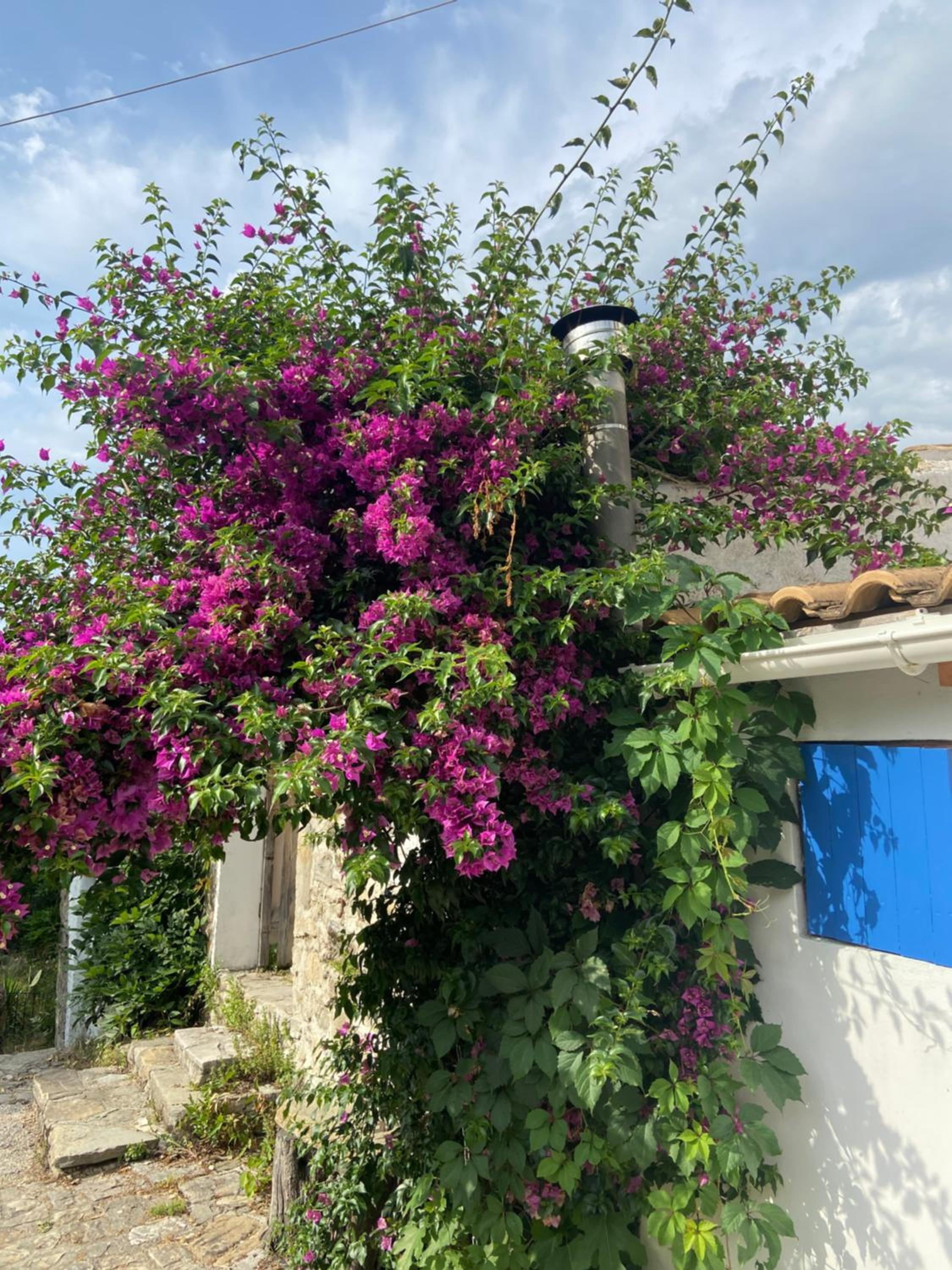 Lulani Hideaway