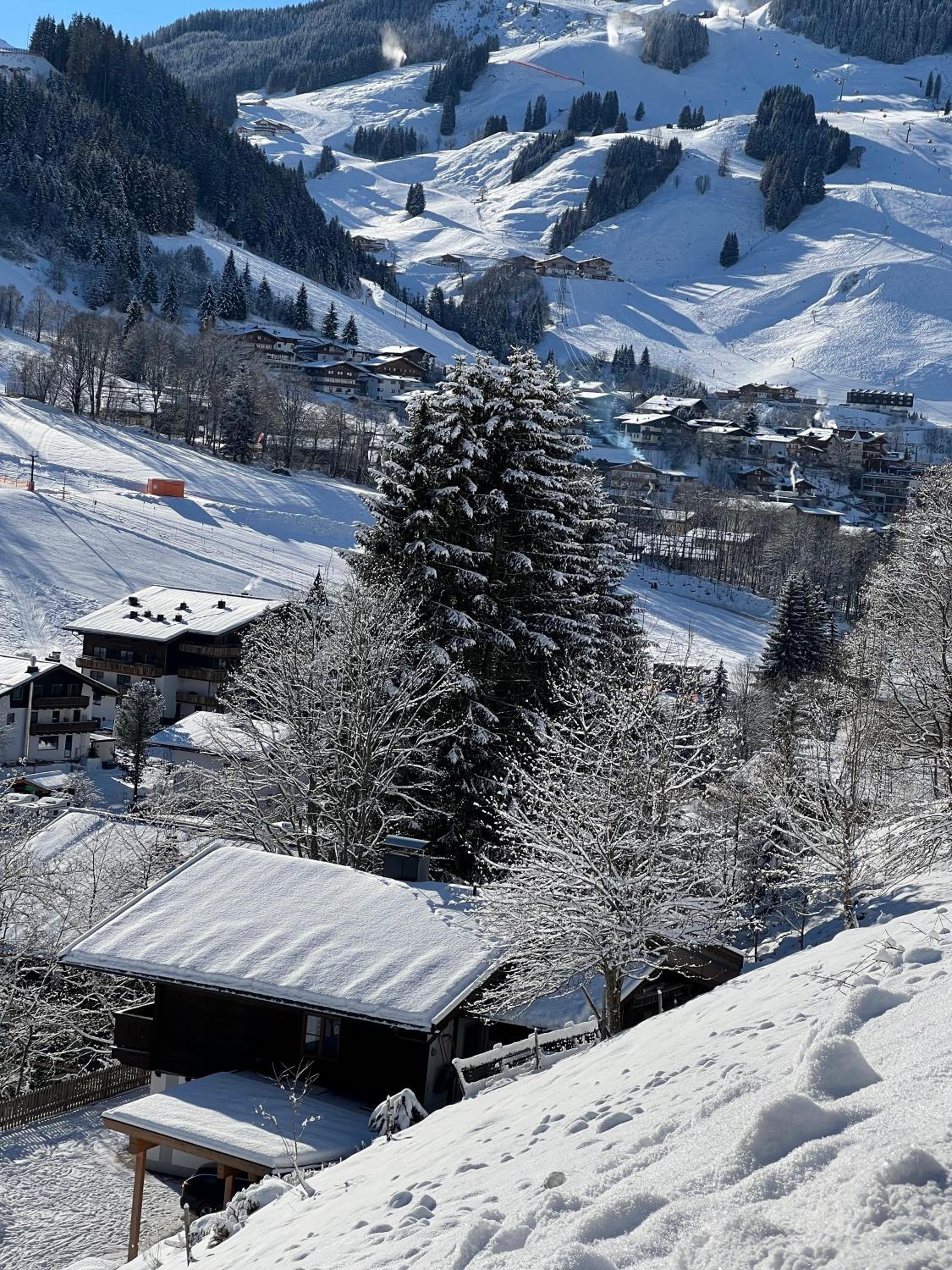 Chalet Apartments Ferius inklusive Jokercard im Sommer