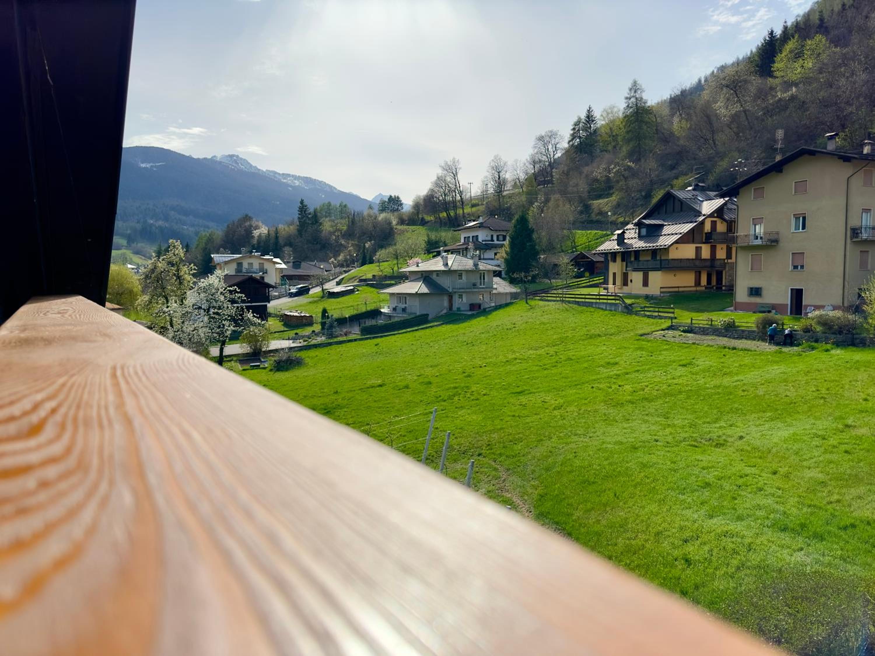 Photo 41