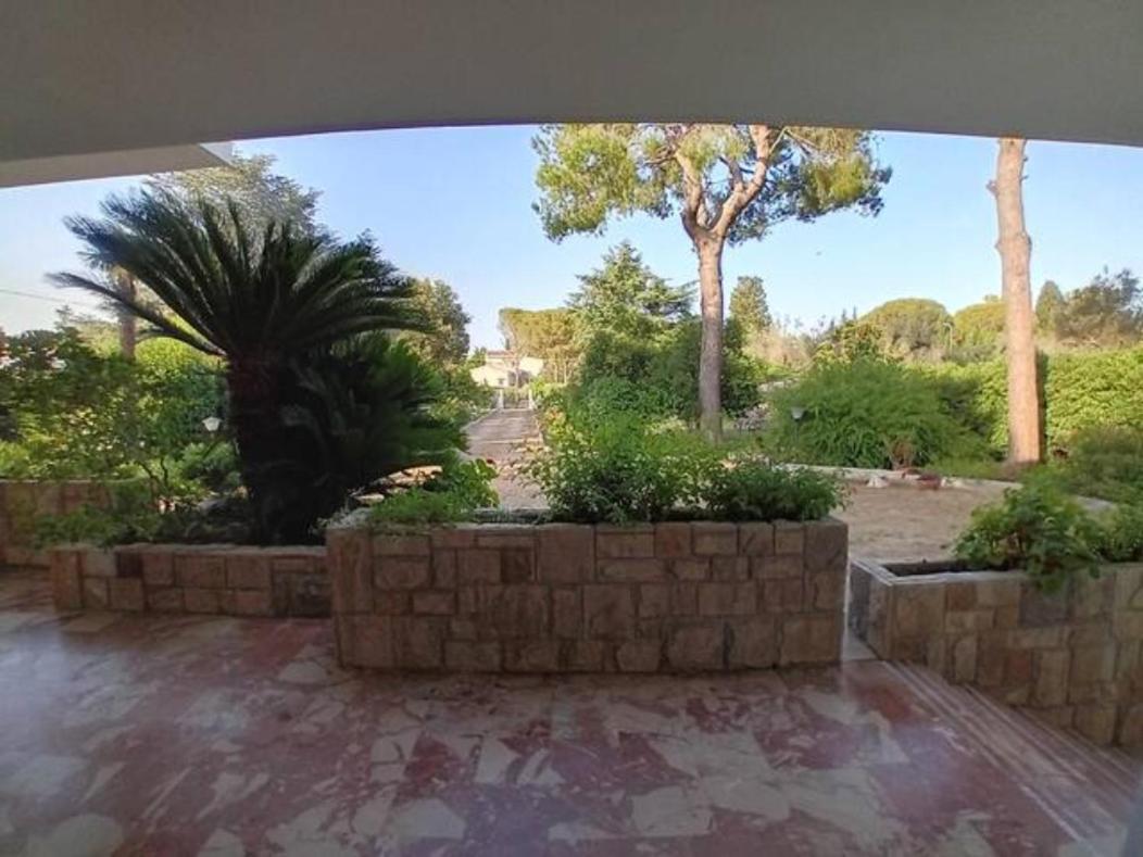 CASINA DEL TRULLO view 4