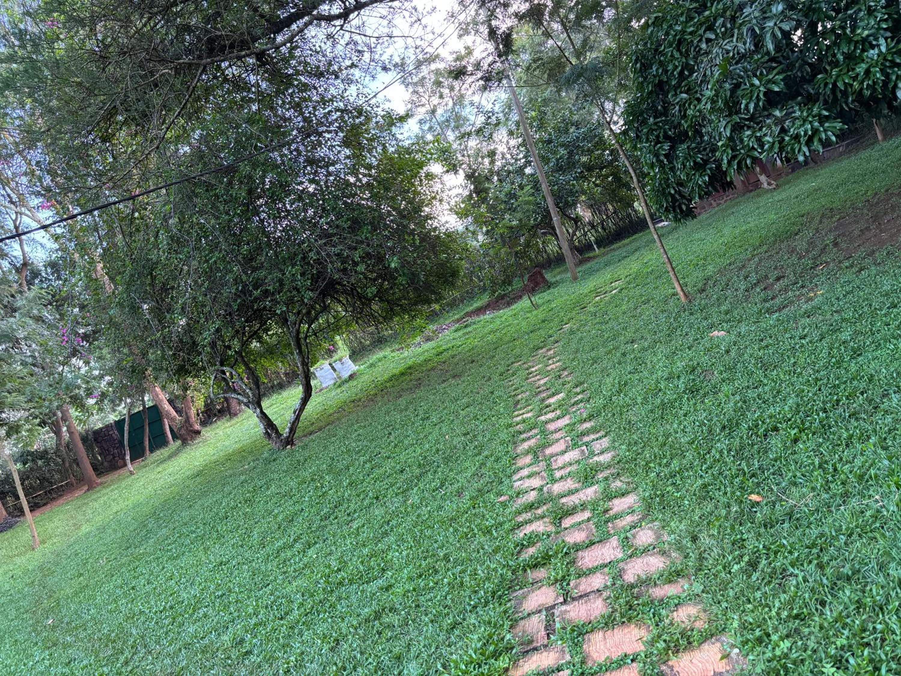 Muhazi View Resort view 2