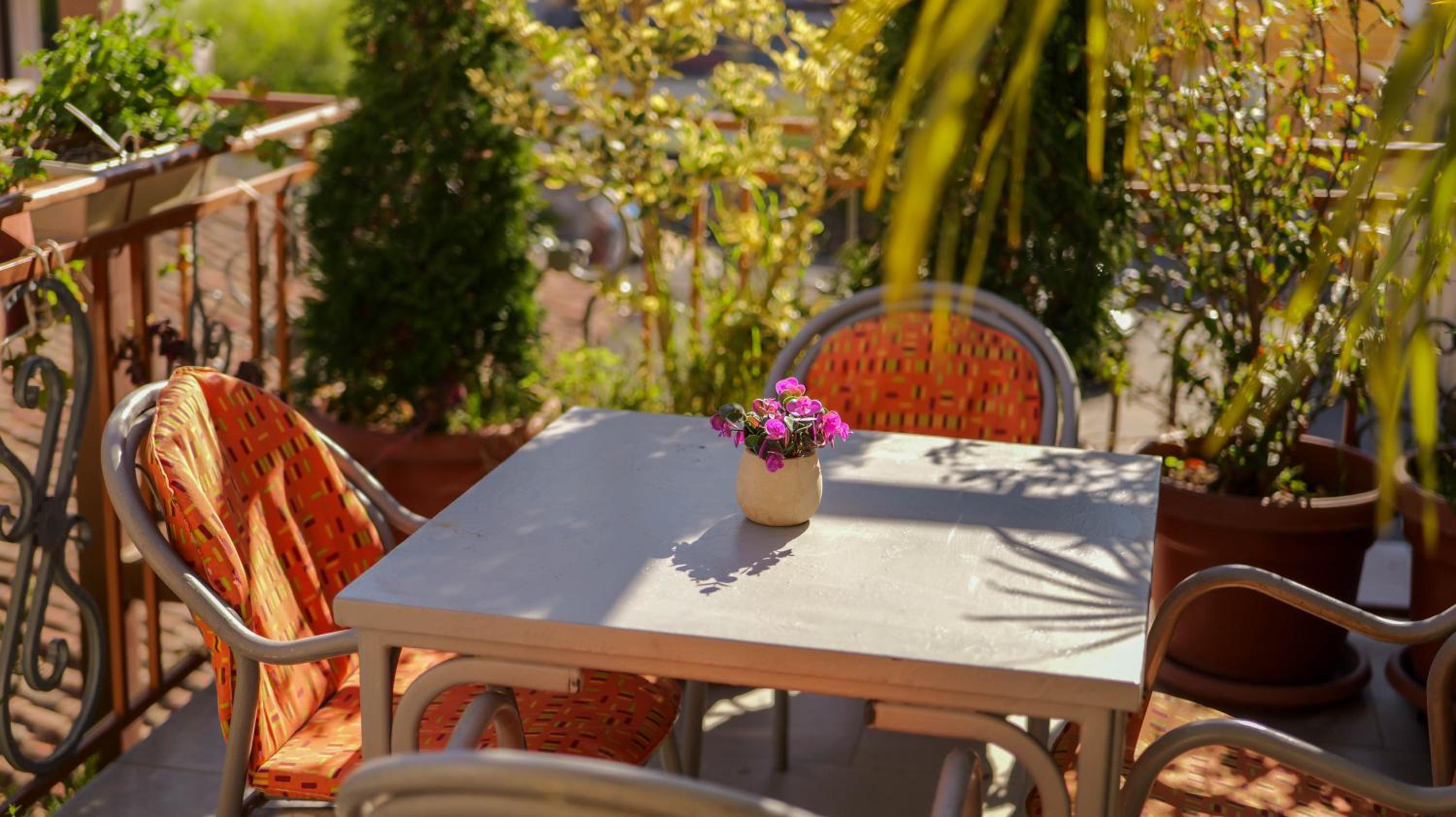 Shkodra Guest House & Trips