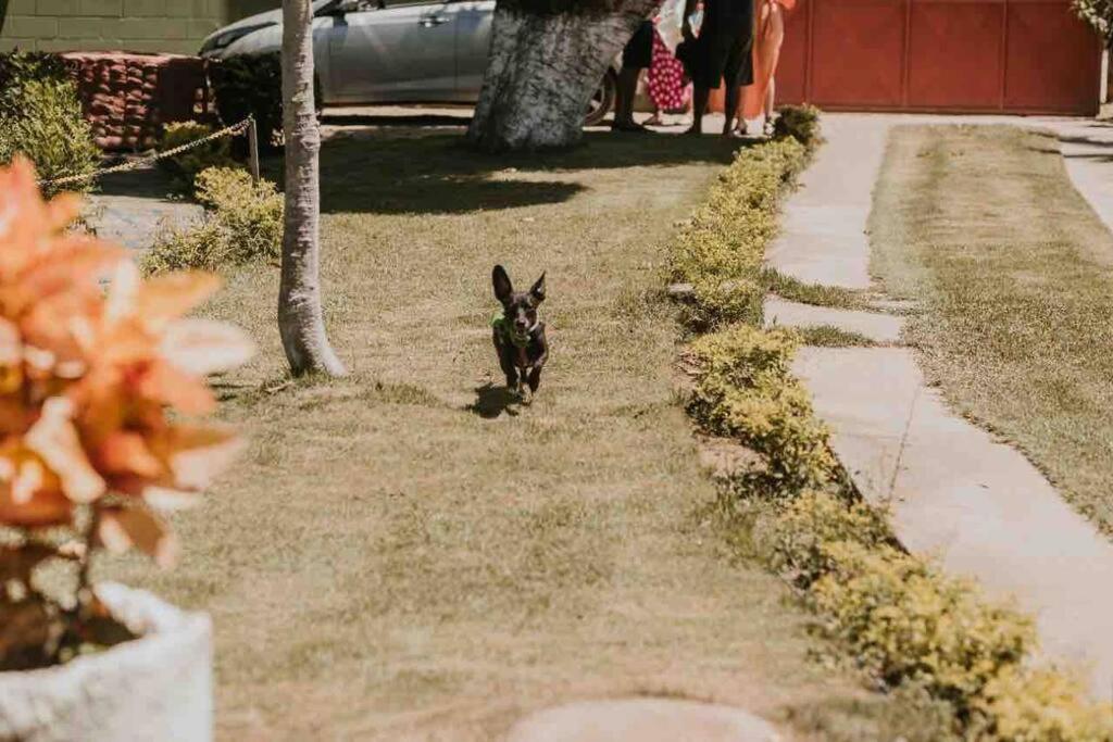 Recanto do Amiguinho