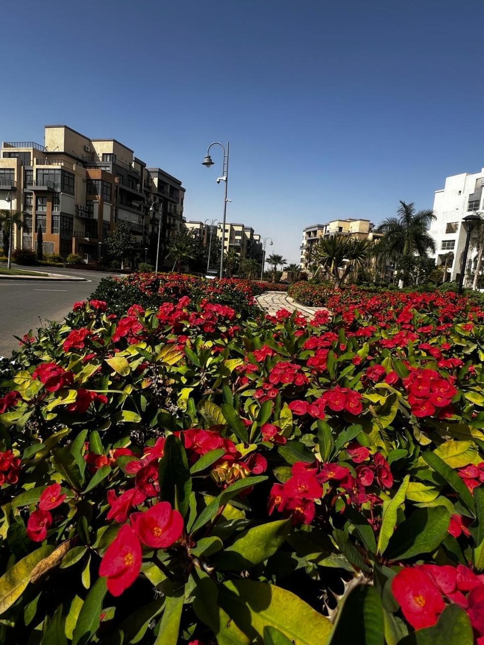 Relaxing Apartment in New Cairo