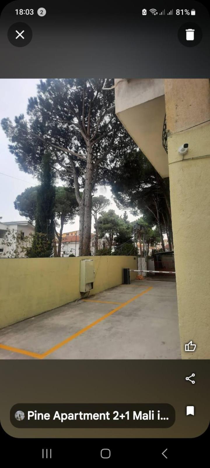 Pine Apartment 2 plus 1