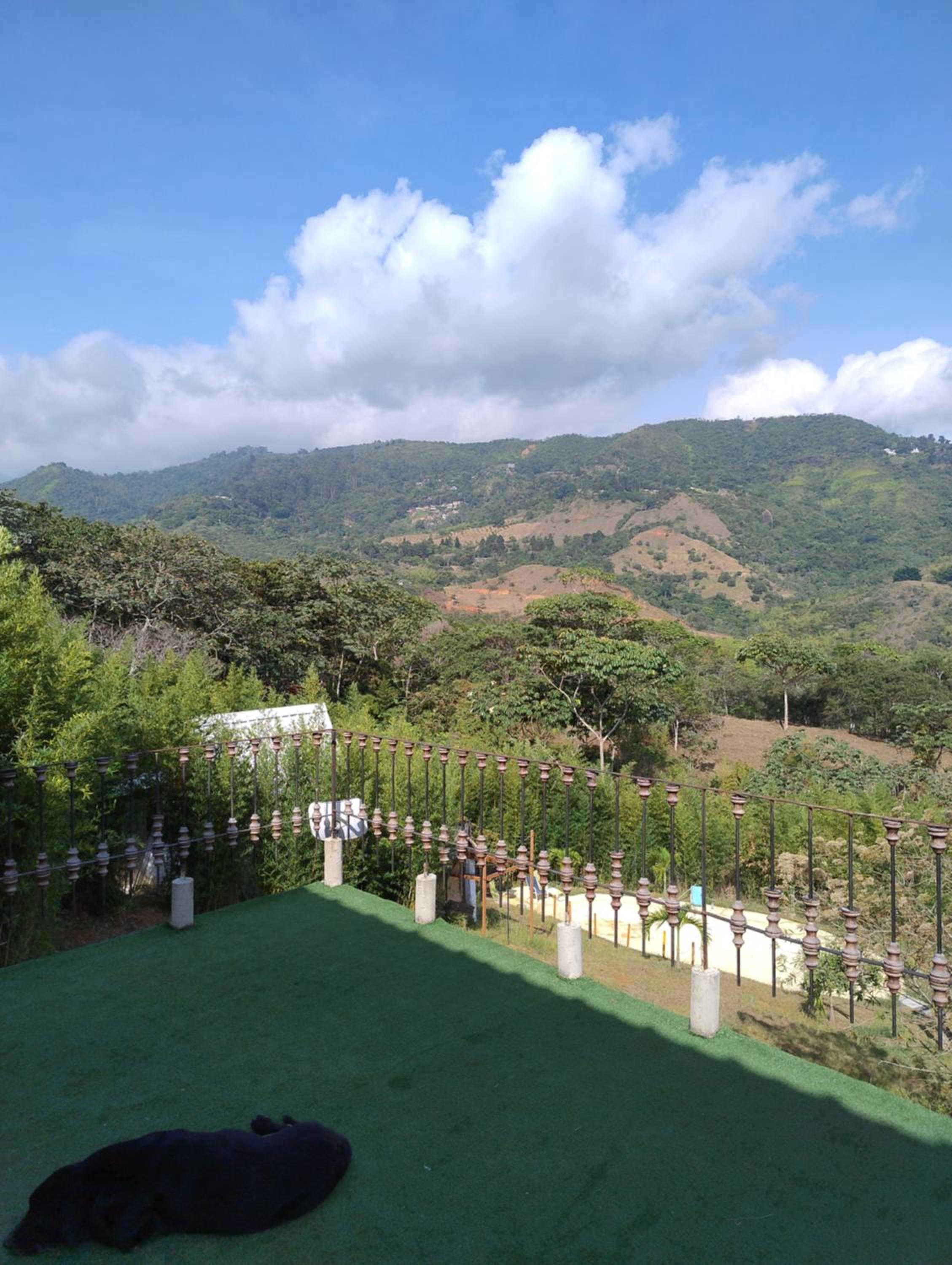 Glamping Bambulina