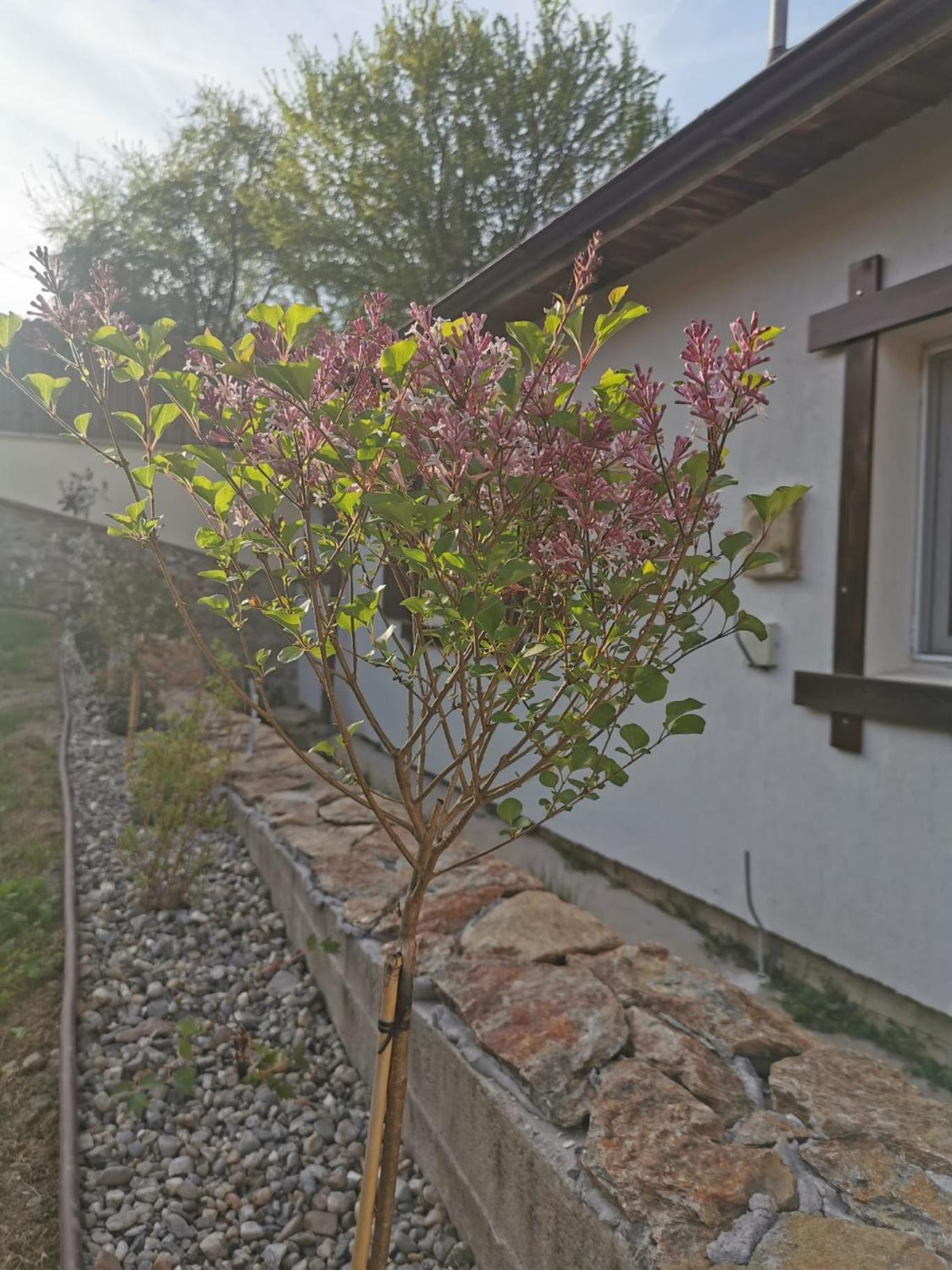 Casa Tihna
